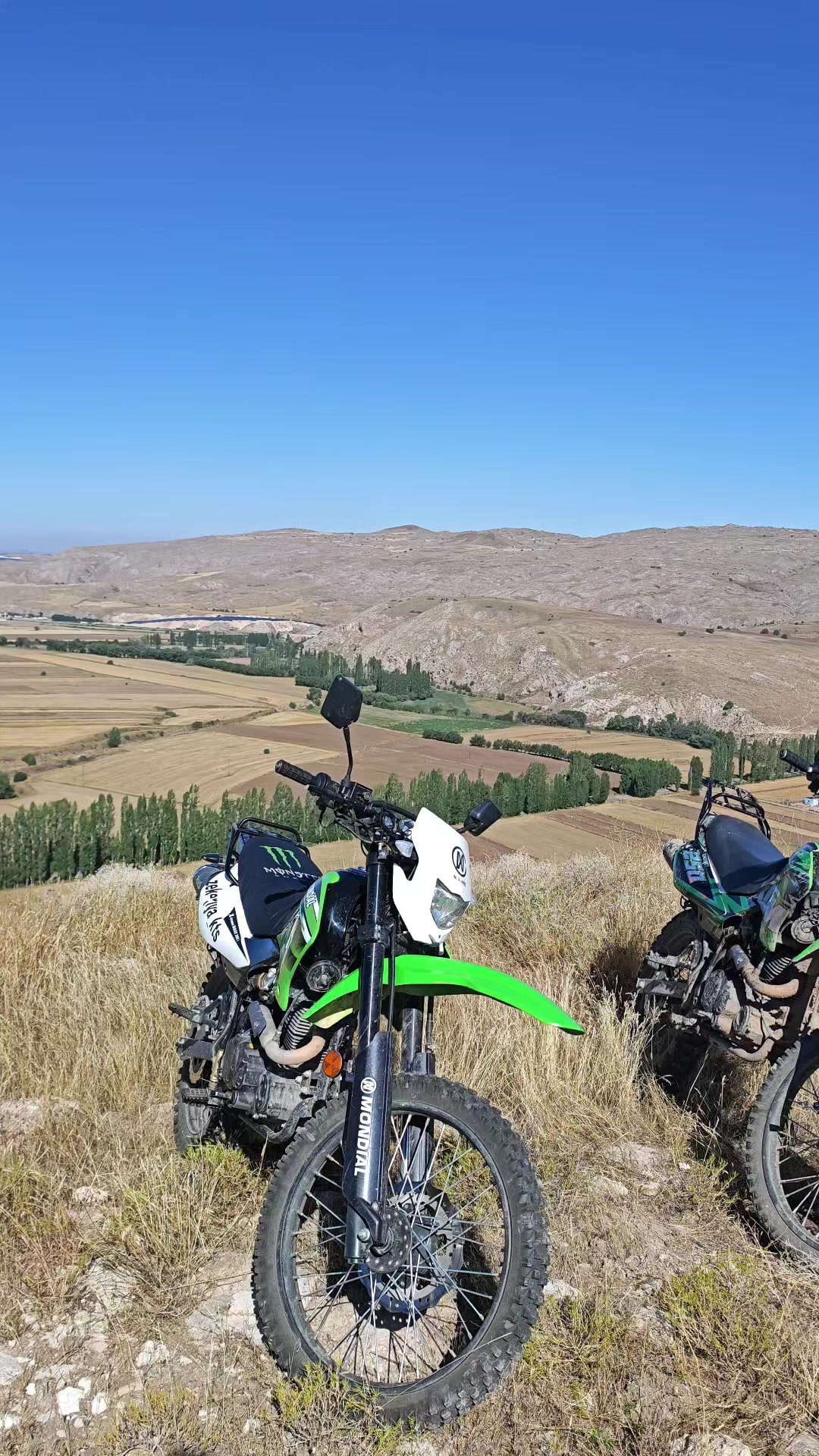 @Zekeriya Aktaş