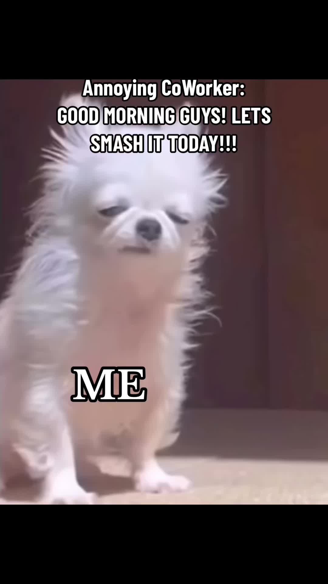 @Ronalyn