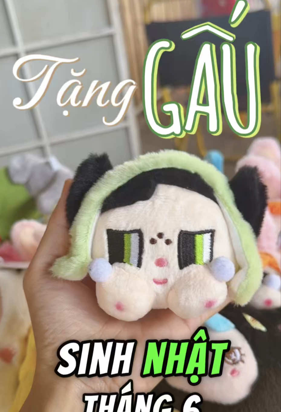 @VIDI BMT