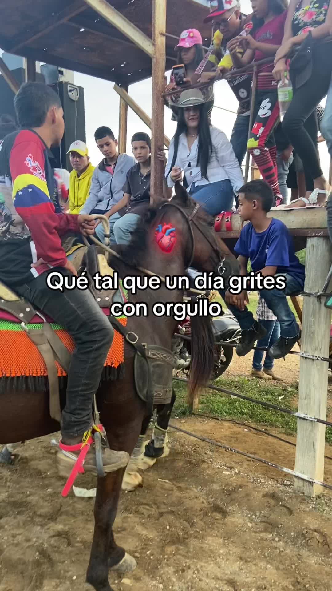 @Henry🤠