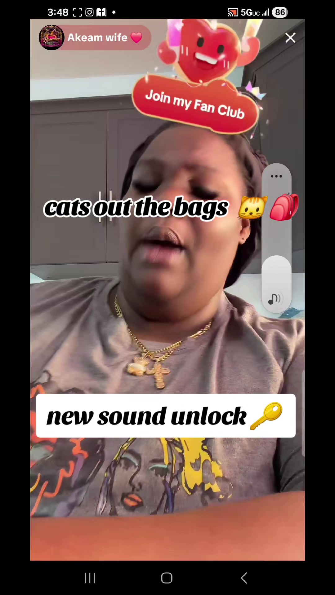 @cats out  the bags 🐱🐱🐱🐱🐱
