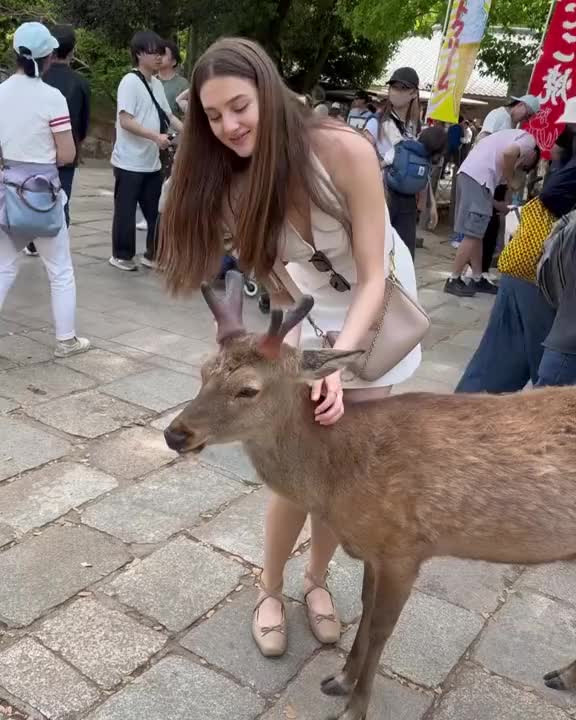 @🌲imkovka✨12