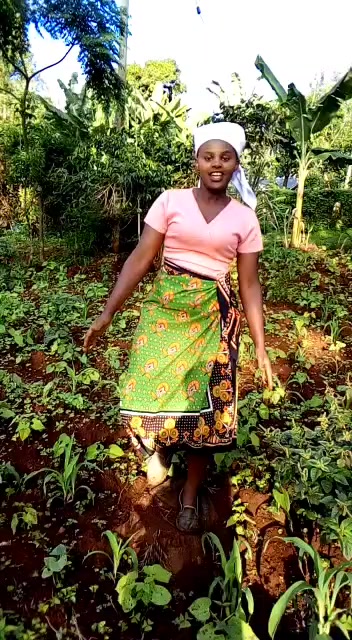 @Shii kiki mwas (Wa wairegi)