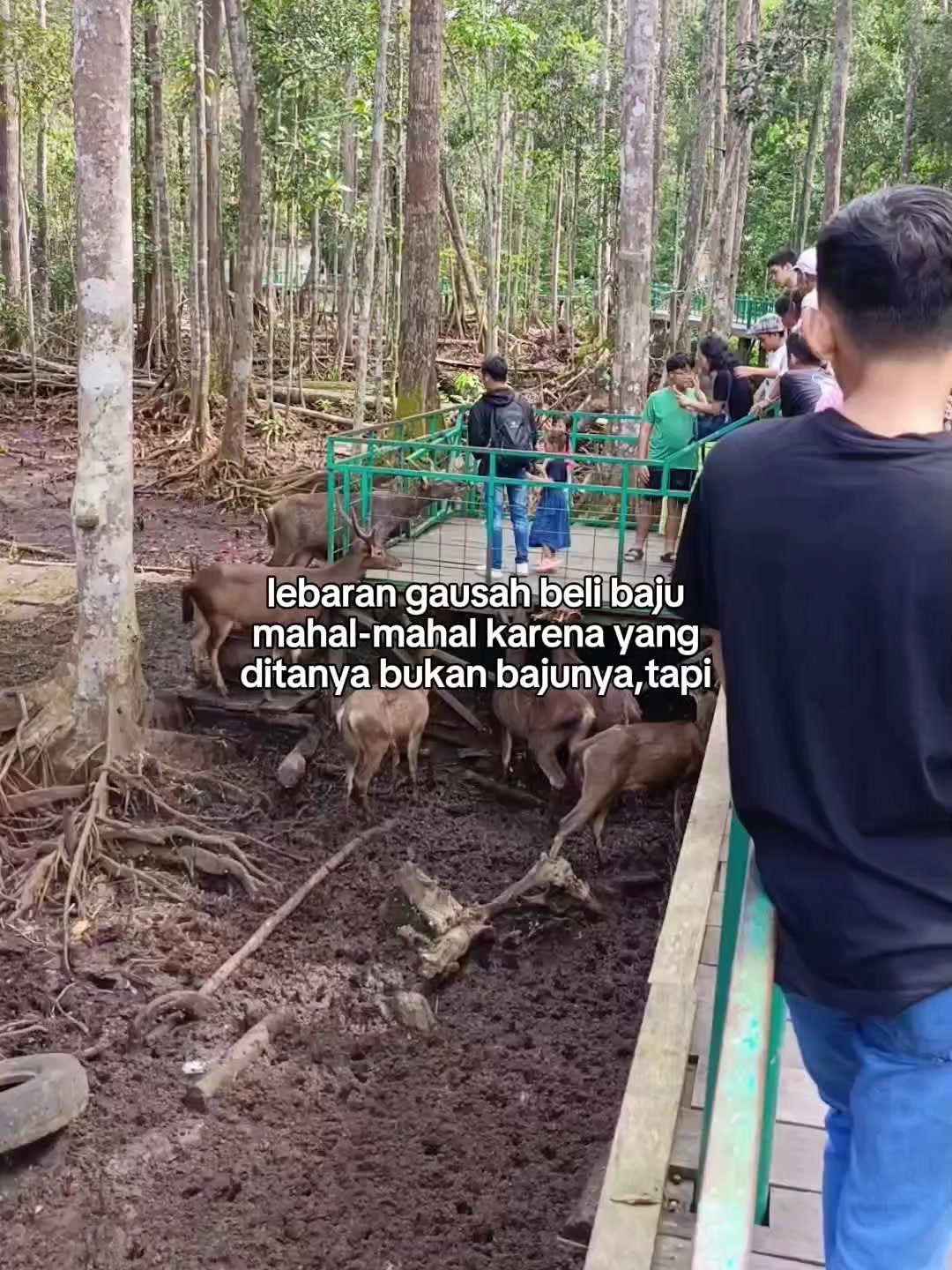 @dotzZe🇻🇳
