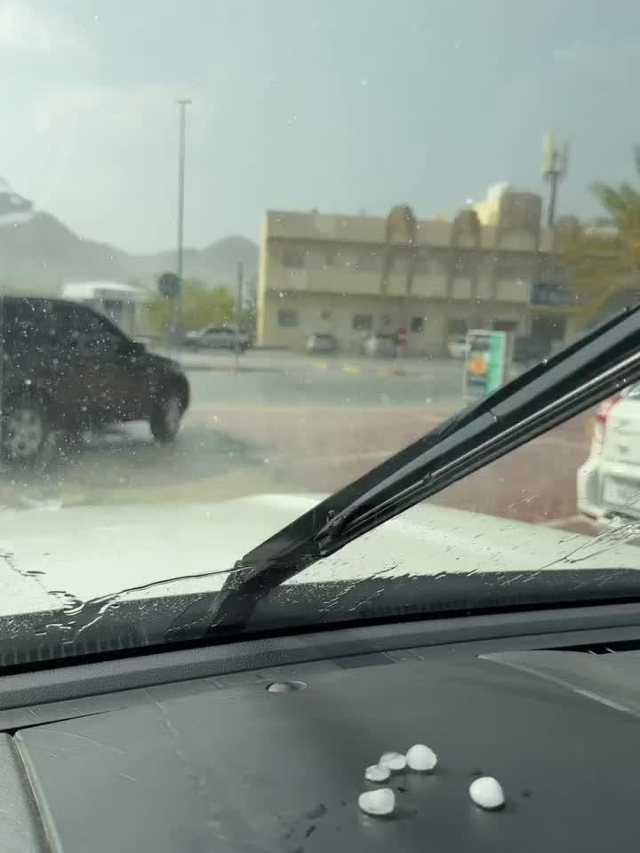 @ولد زايد 🇦🇪