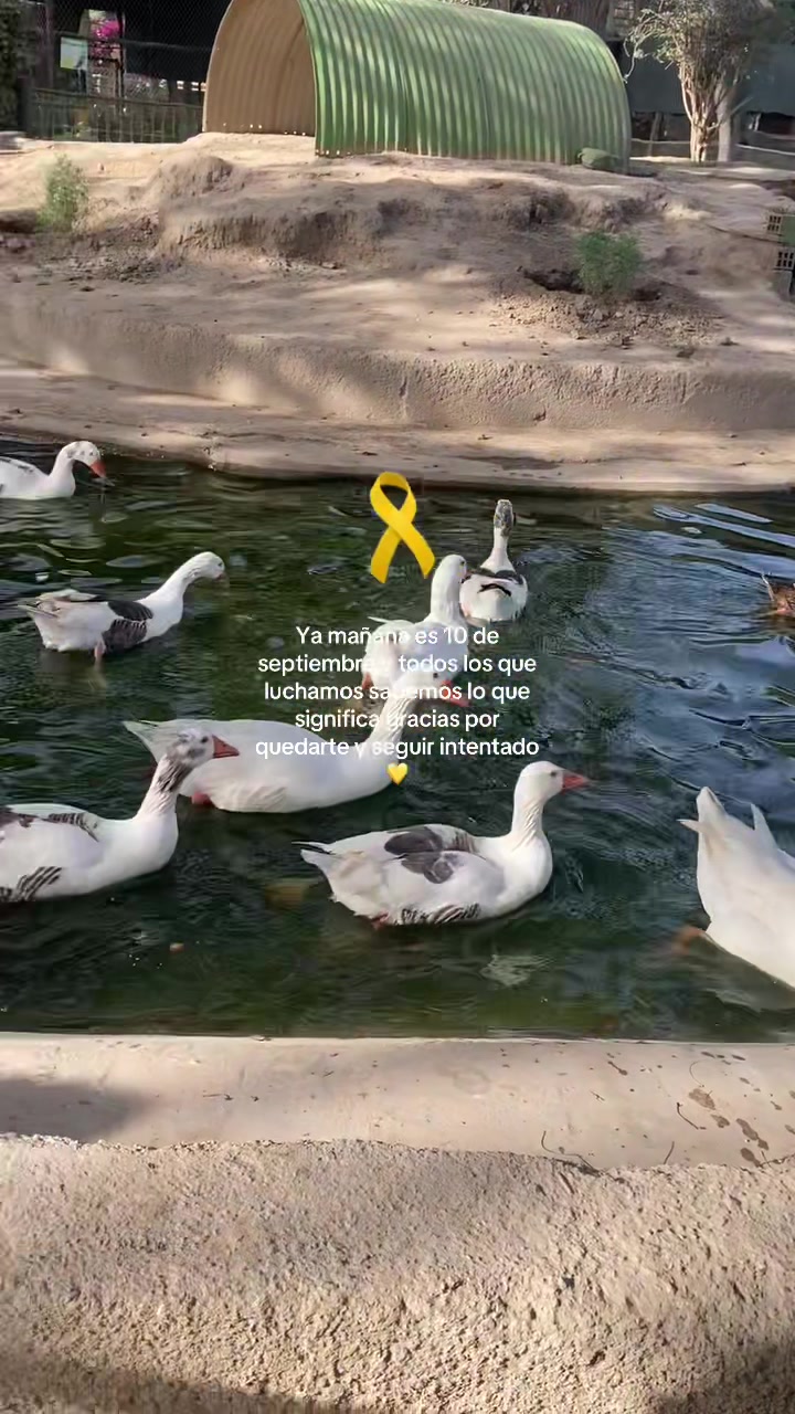 @Angela🌼😍