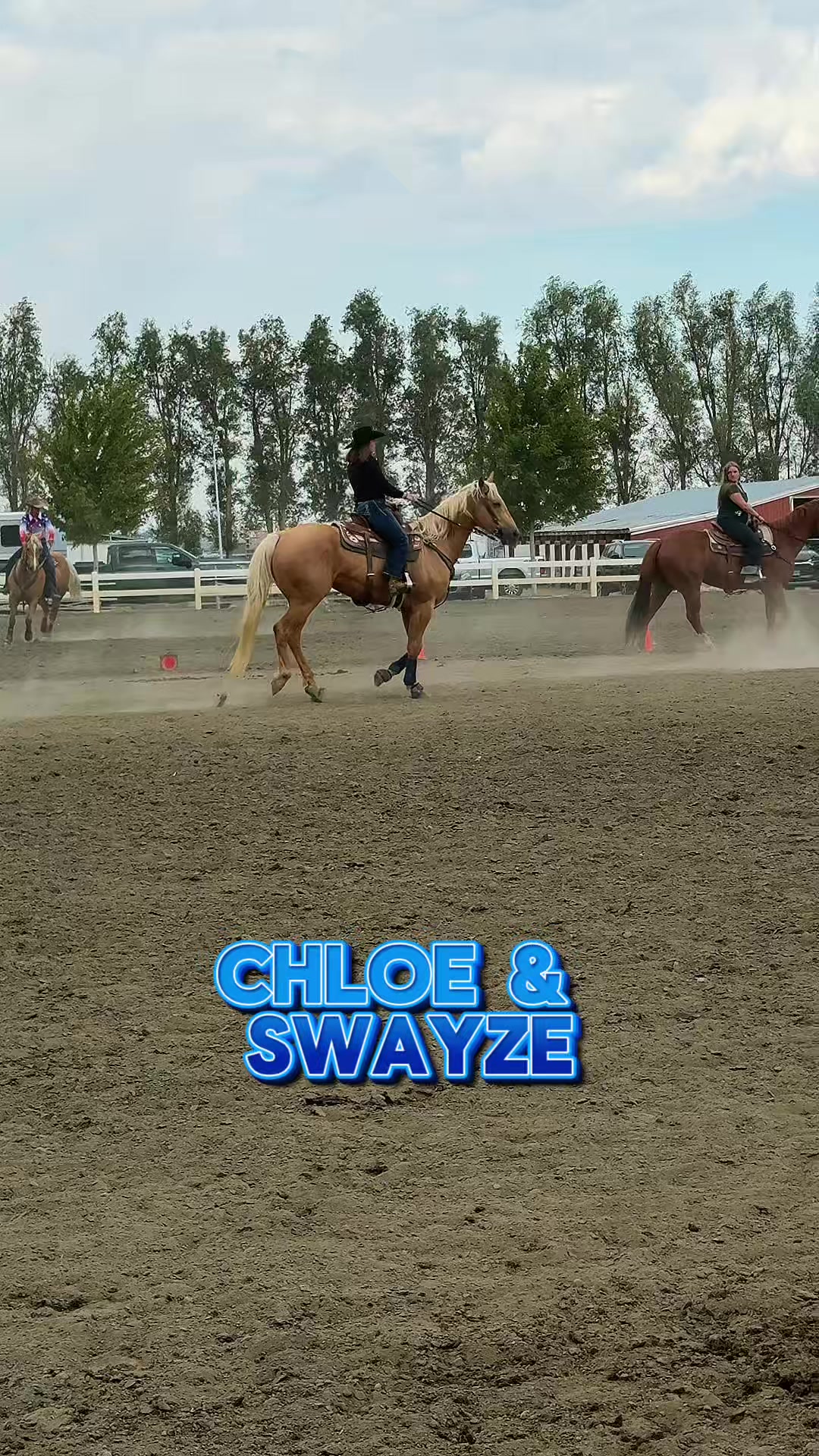 @Supercharge Performance Horses
