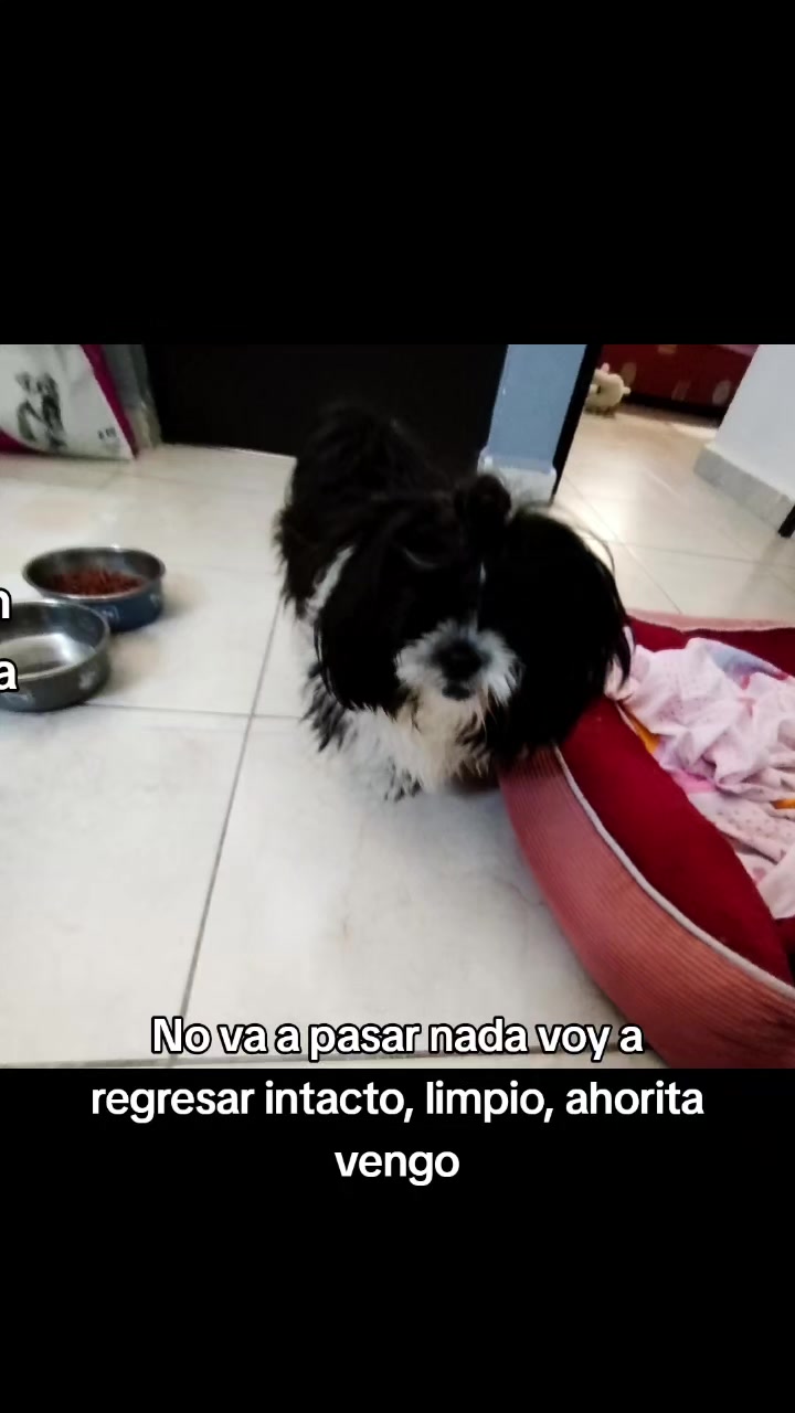 @Rocio Aguiñiga Reyna