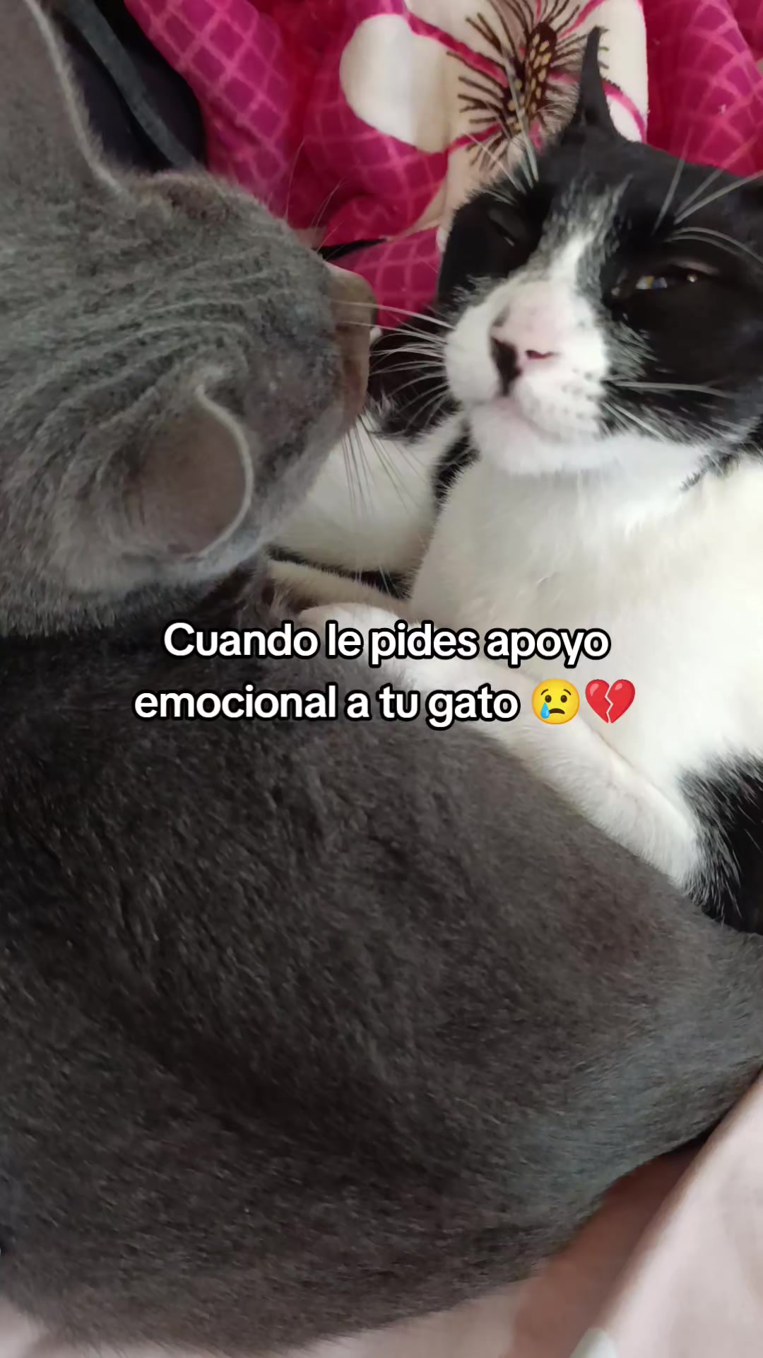 @Nataly Martínez6490