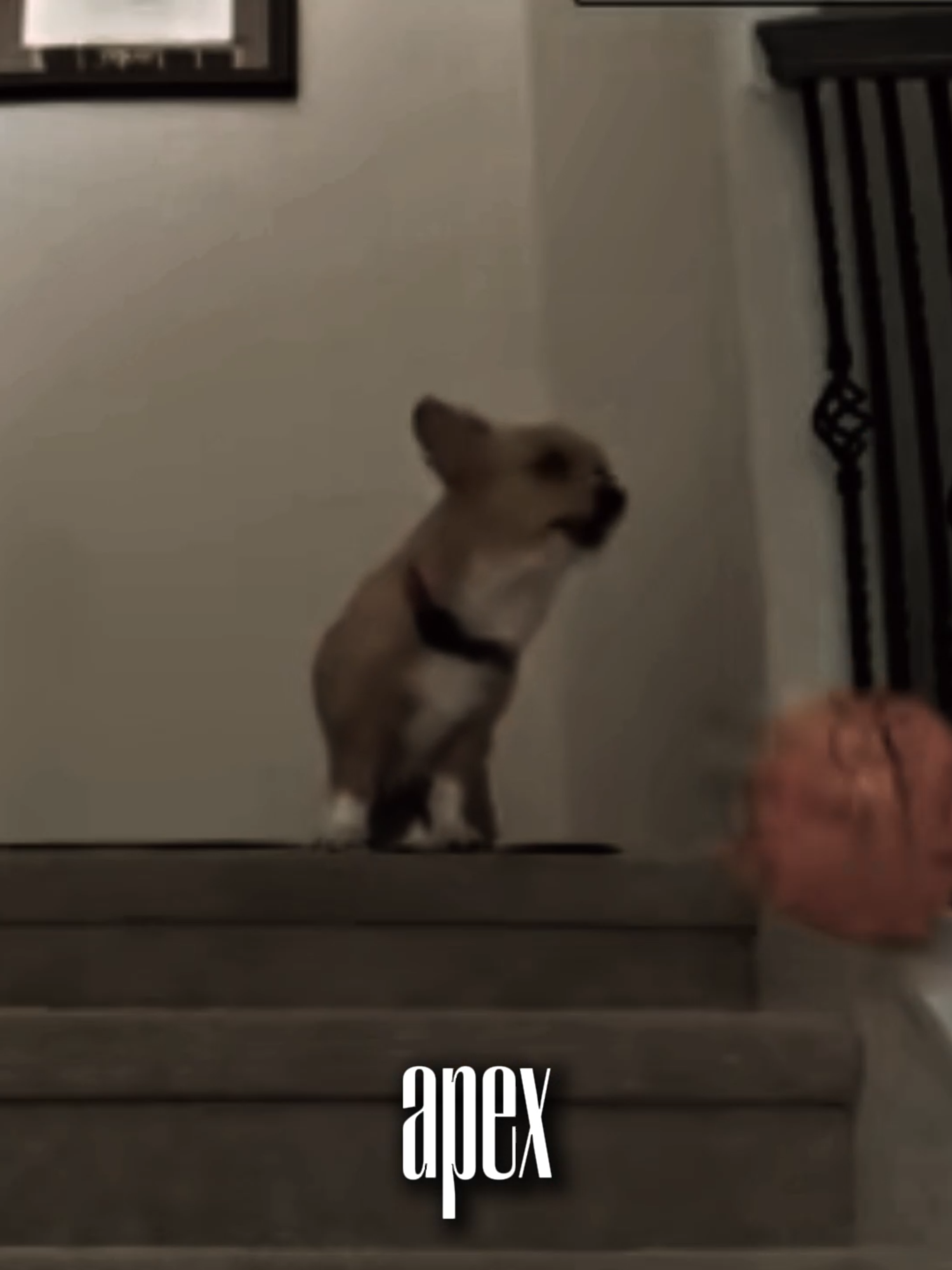 @Apex