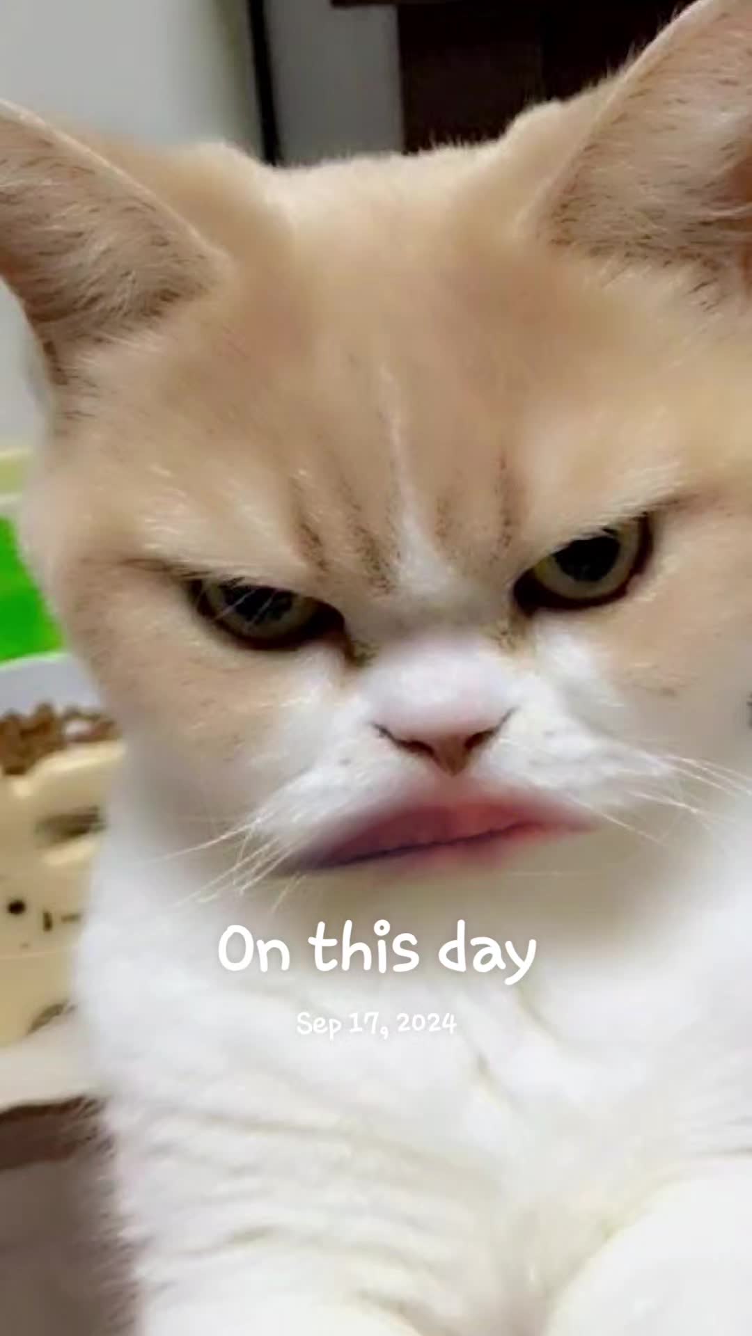 @Dani
