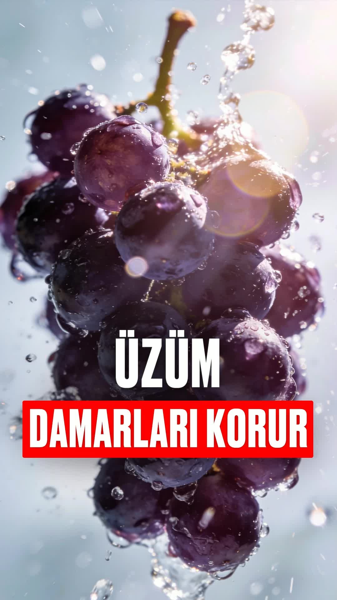 @Bolotov_Merkezi