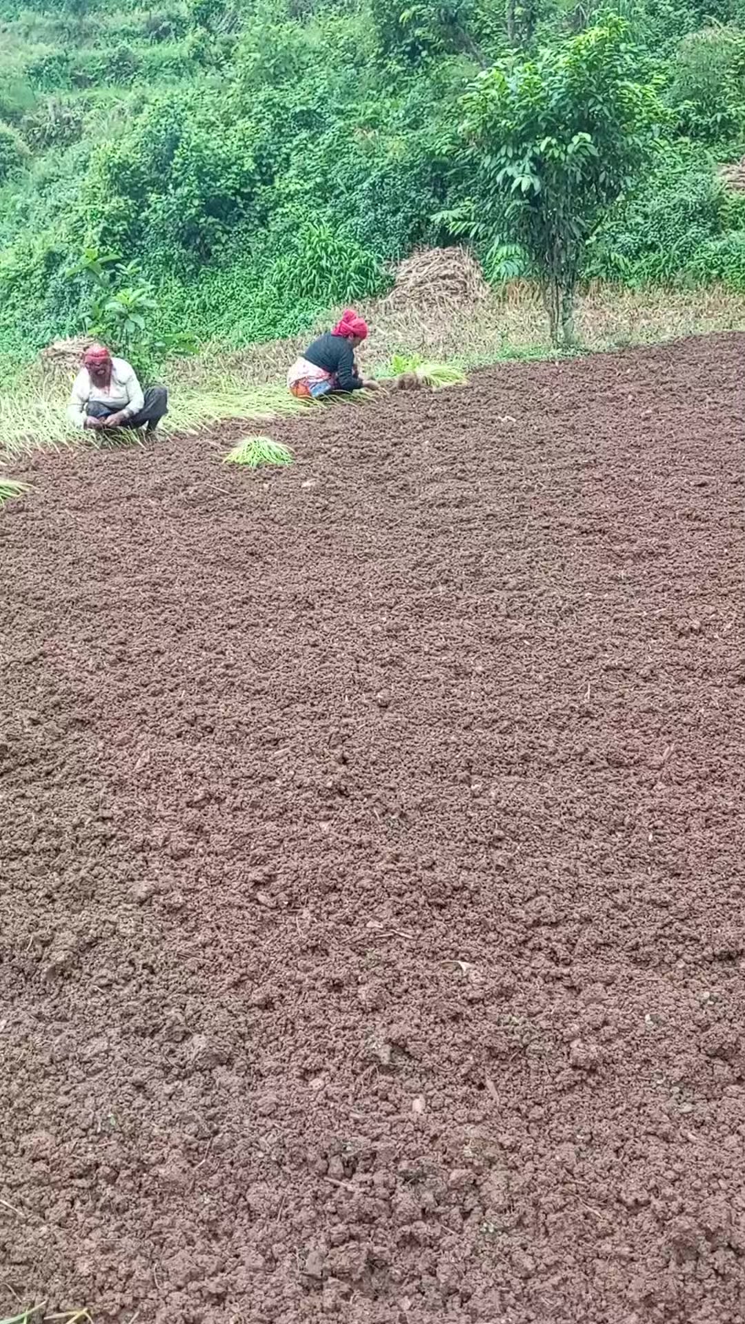 @योगिता गुरुङ