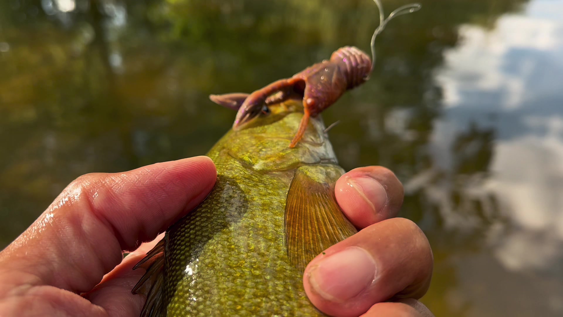@Bassin Baskie