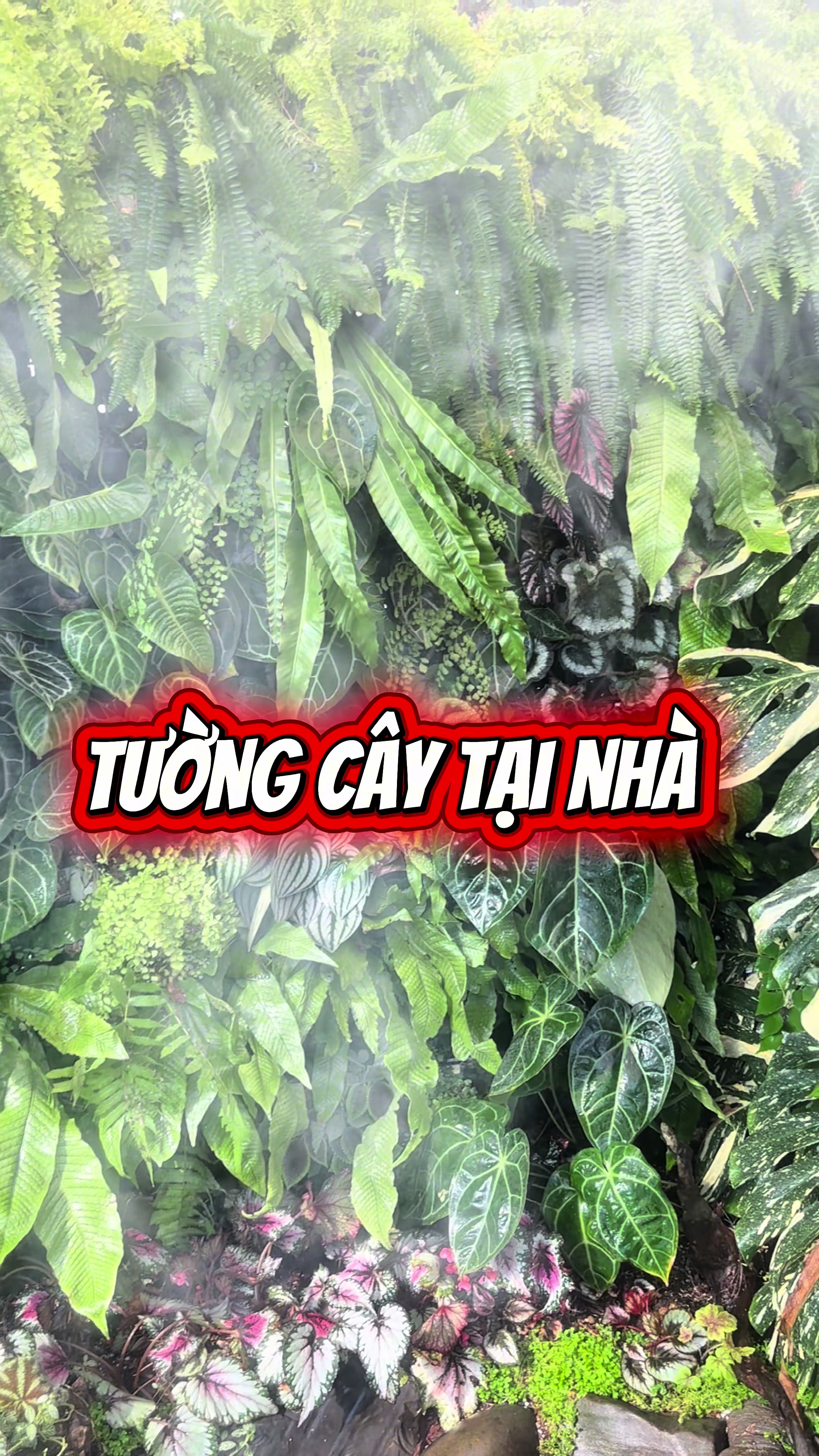 @Vườn Hồ H&acirc;n