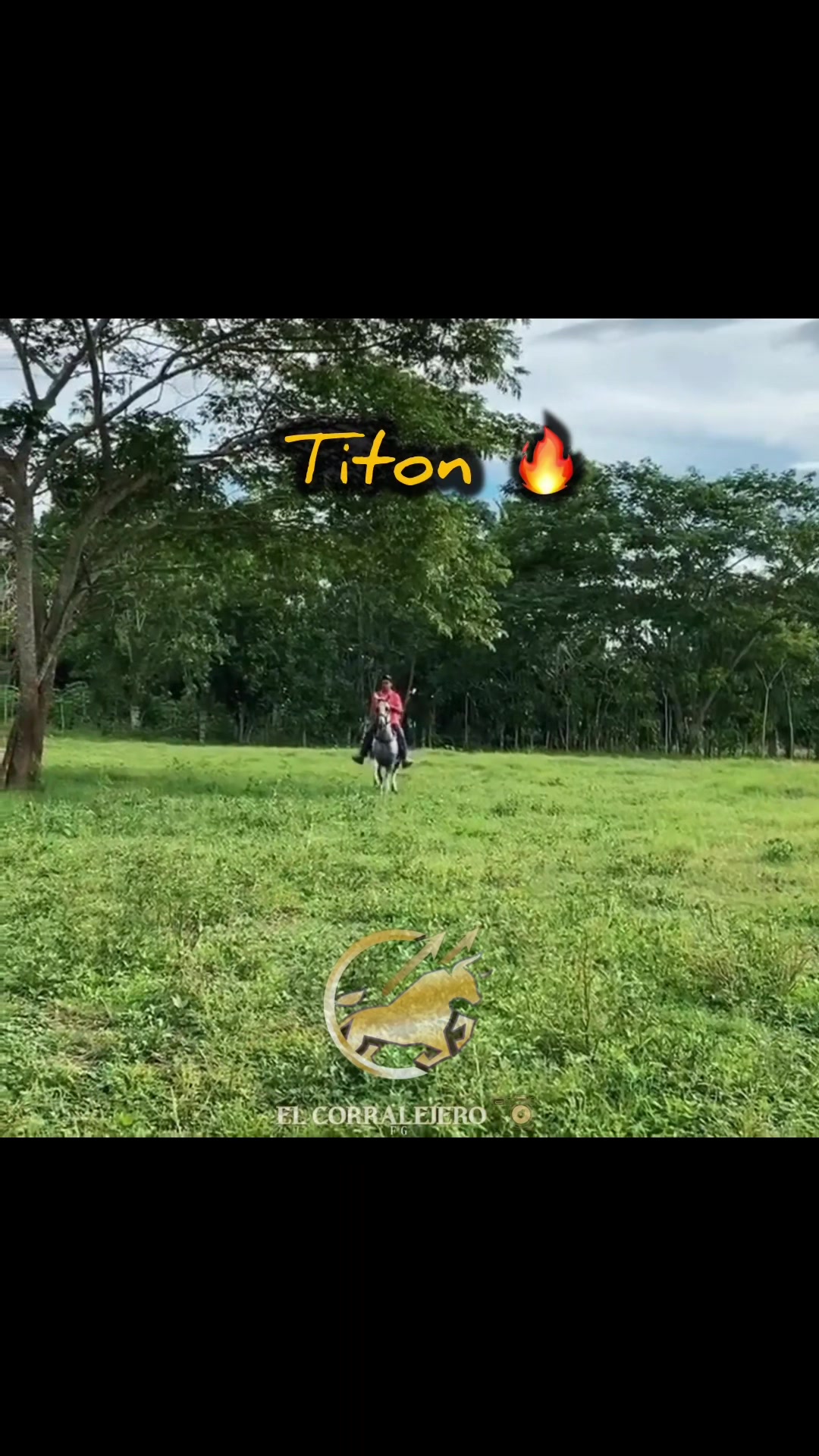 @elcorralejero