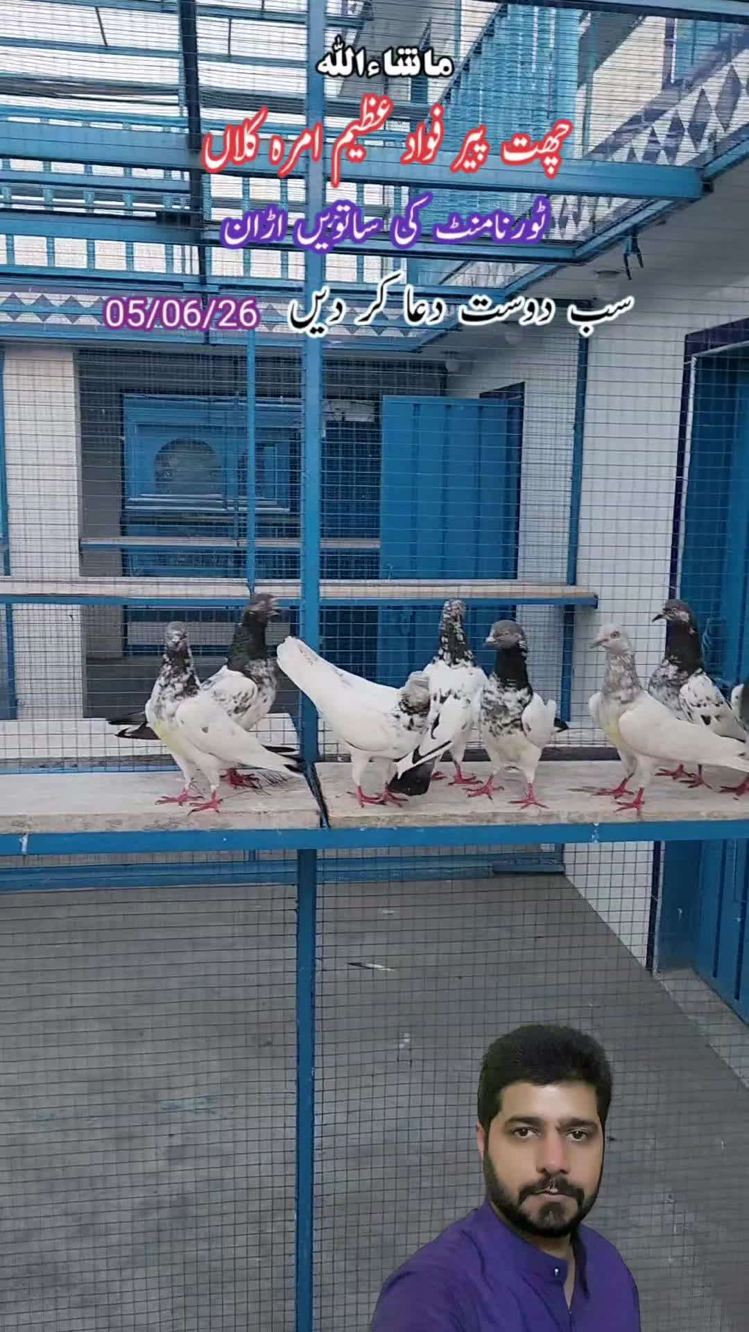 @amrakalan5