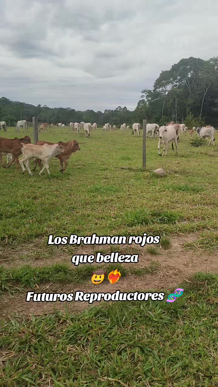 @SERGIO. R._94