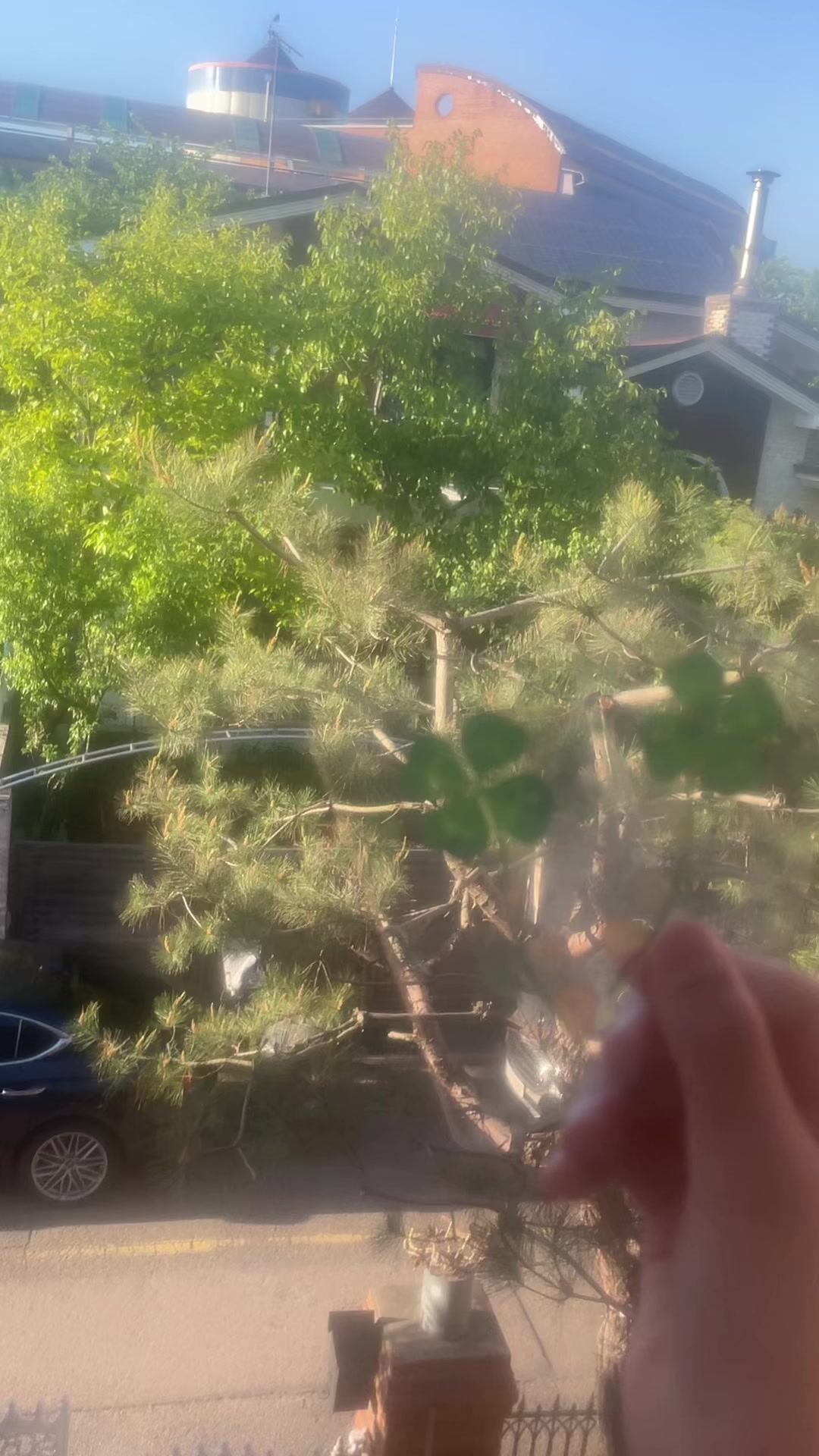 @냠냠ミ☆♡ઌ=͟͟͞   ꪔ͈͓🥗