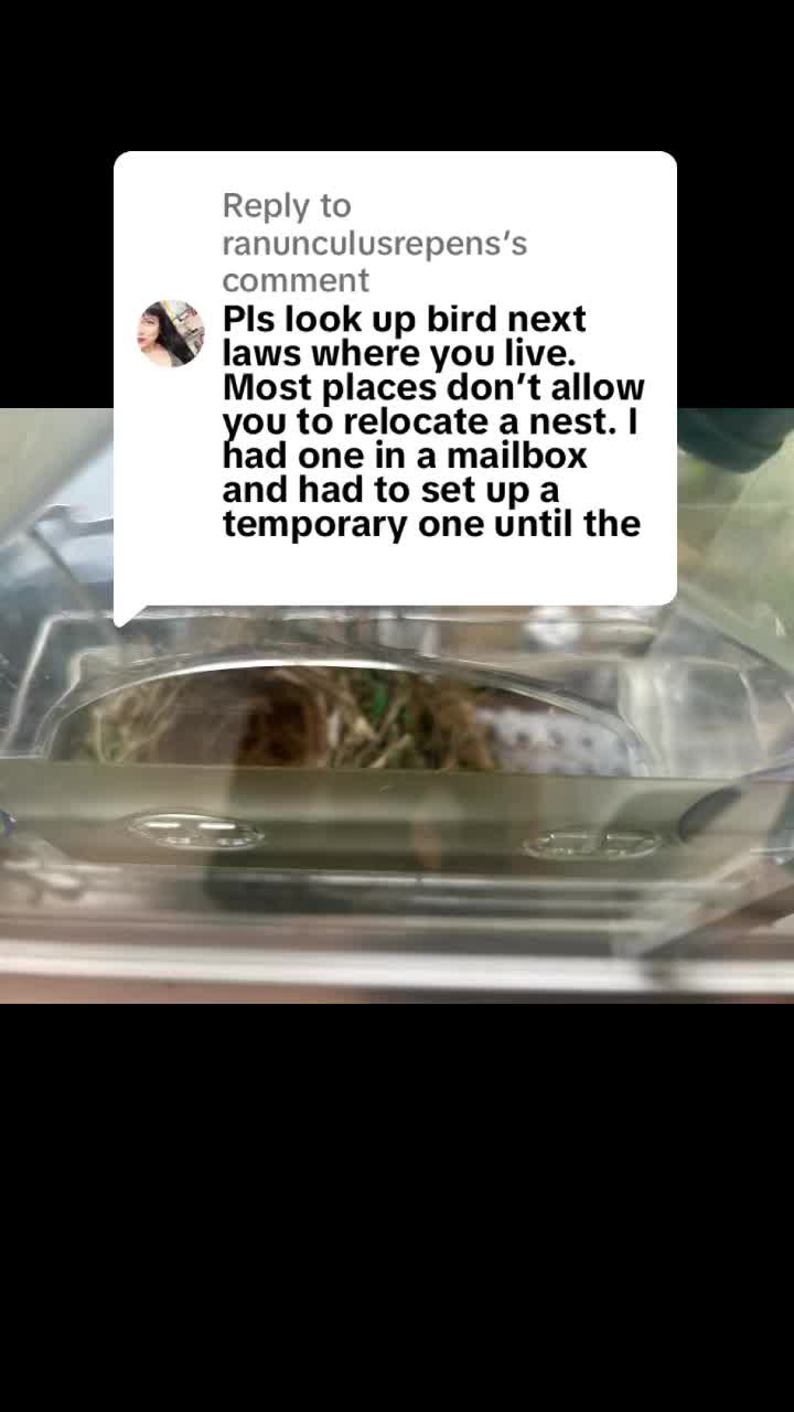 @ShelliSitsWeirdly
