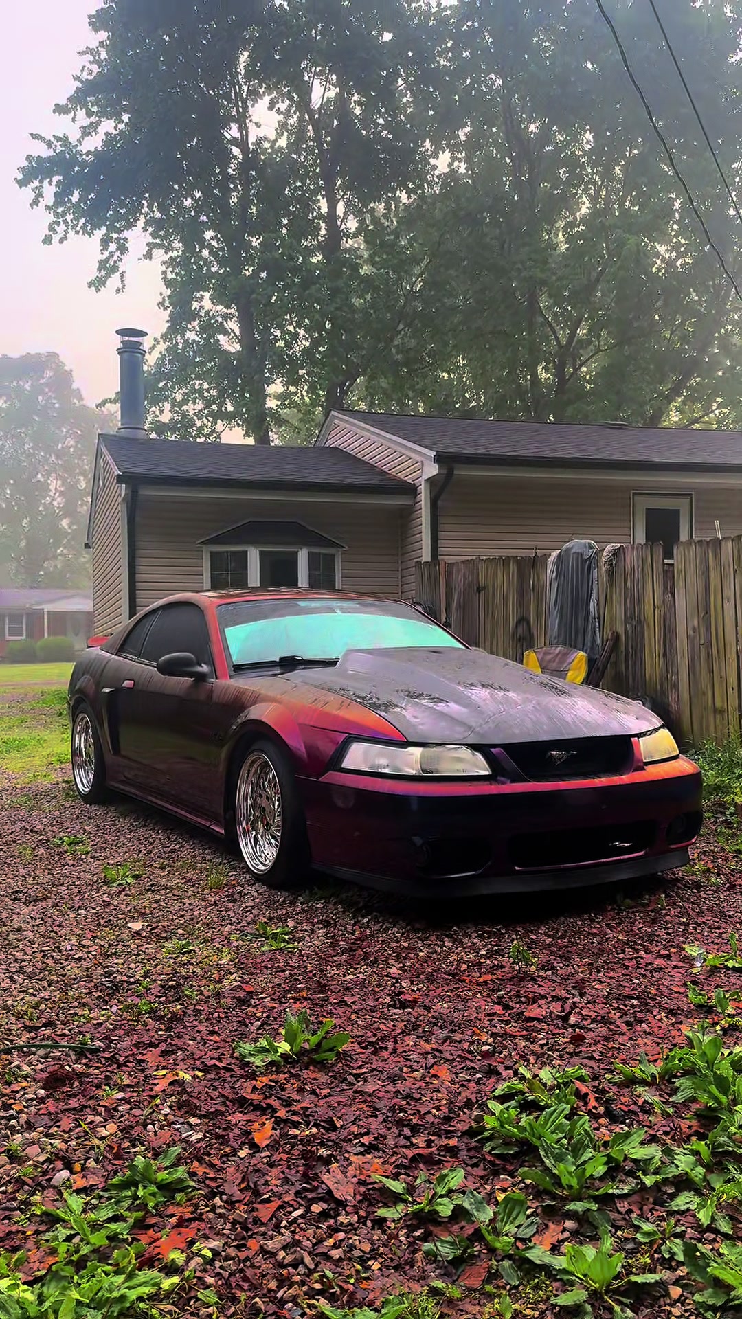 @Midnightpurp2v