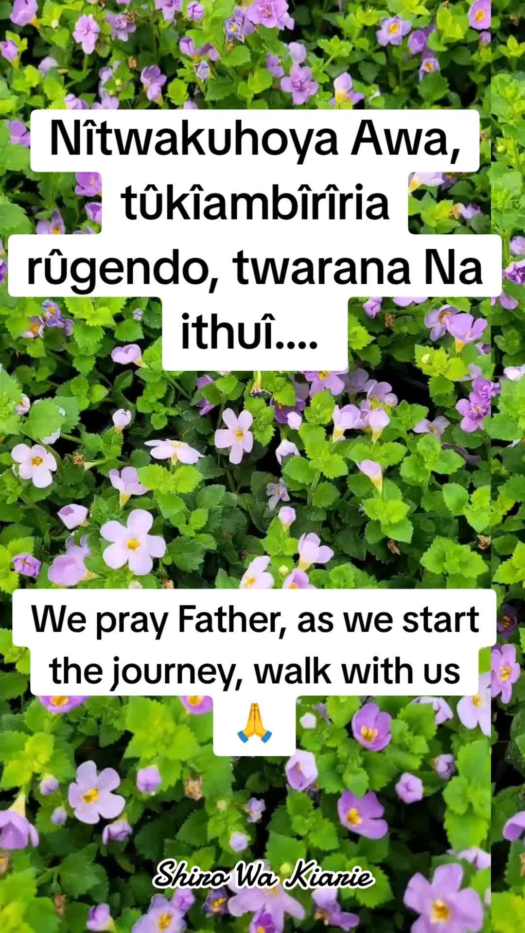 @Shiro Wa Kiarie