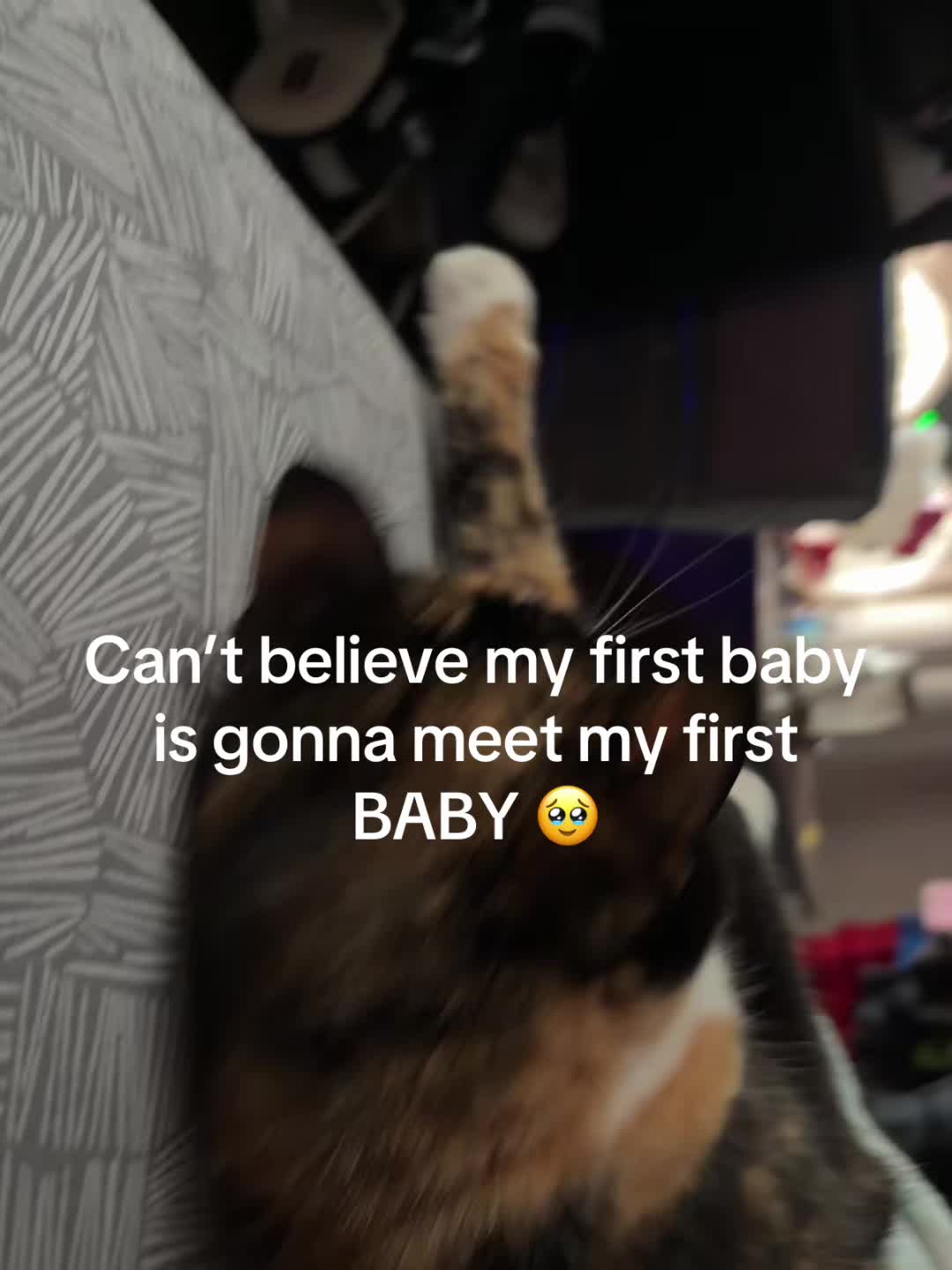 @𝒦𝒶𝓇𝓉ℯ𝓇