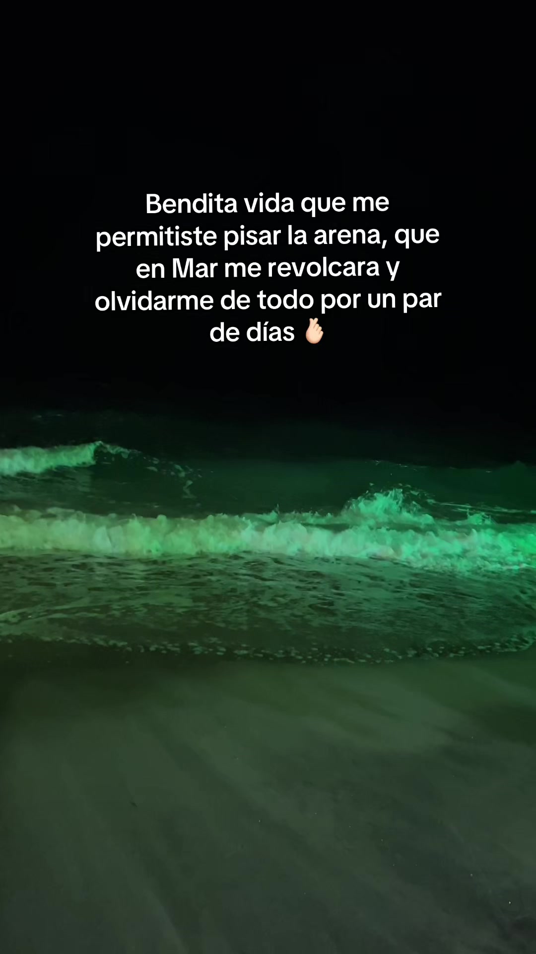 @Tarazona 🫰🏻