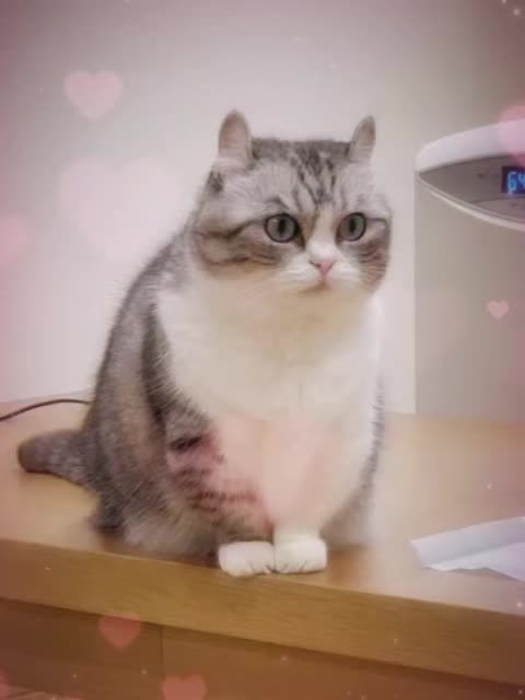 @VyyPilgrim72