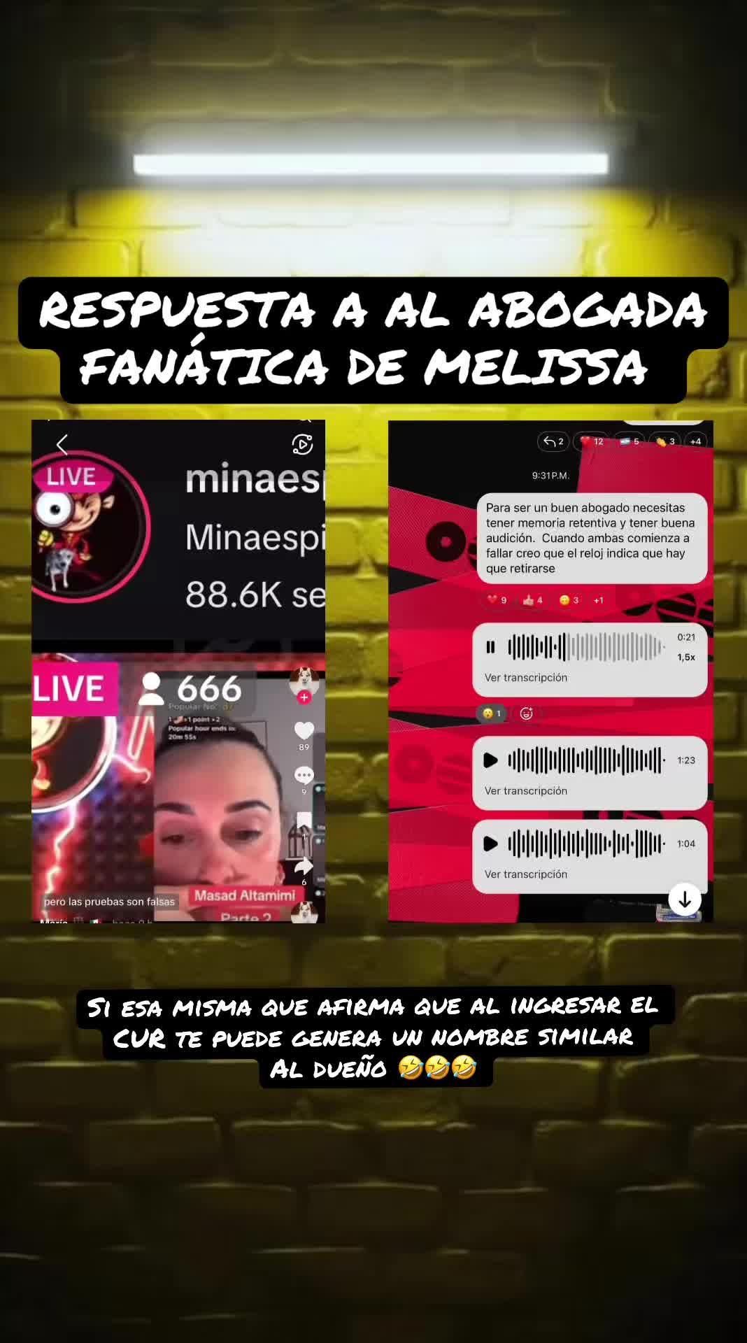 @Minaespia🔎