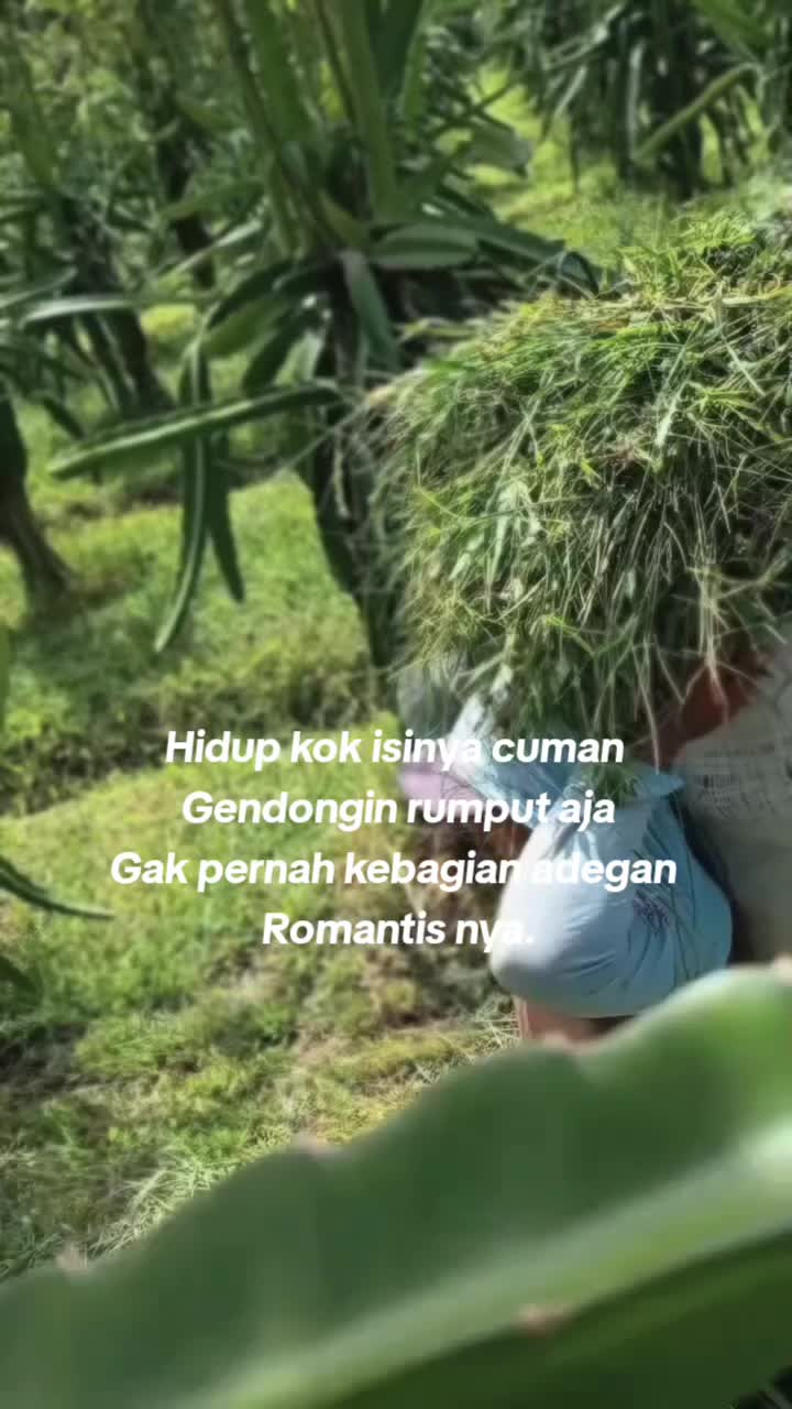 @【Aku Wongmu】