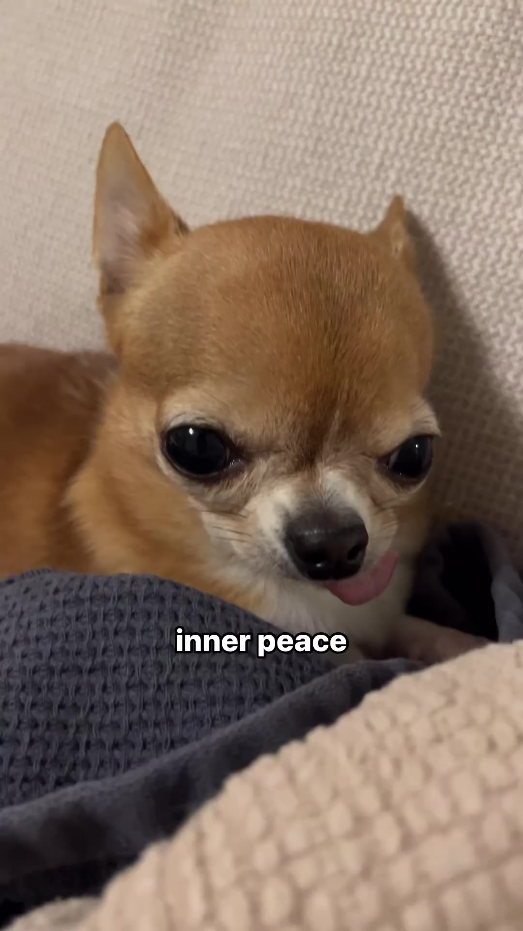 @finonka