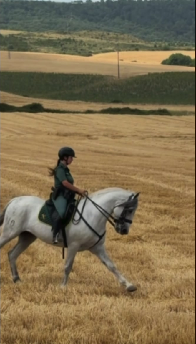 @Guardia Civil Navarra
