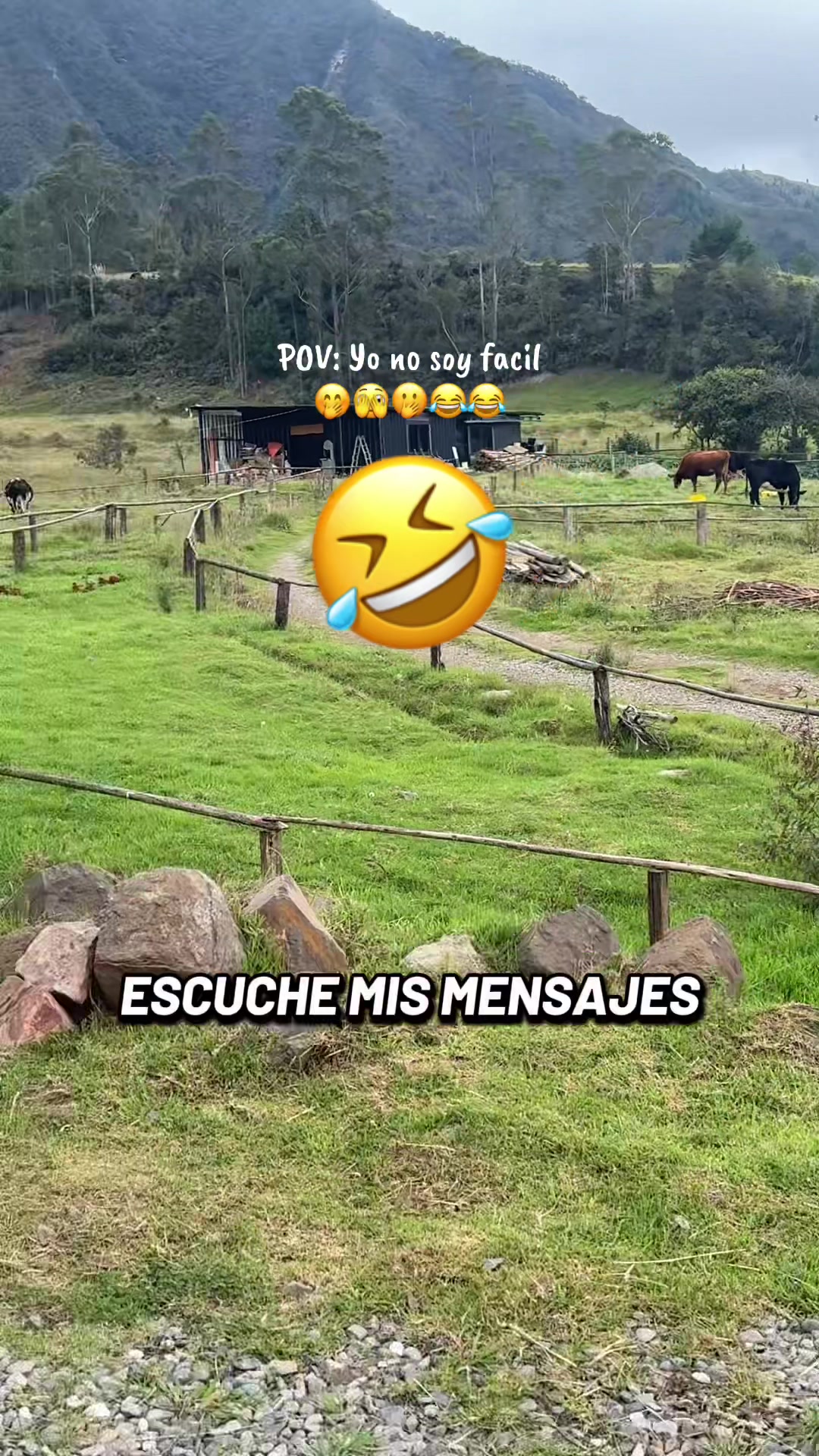 @HERNAN C-23