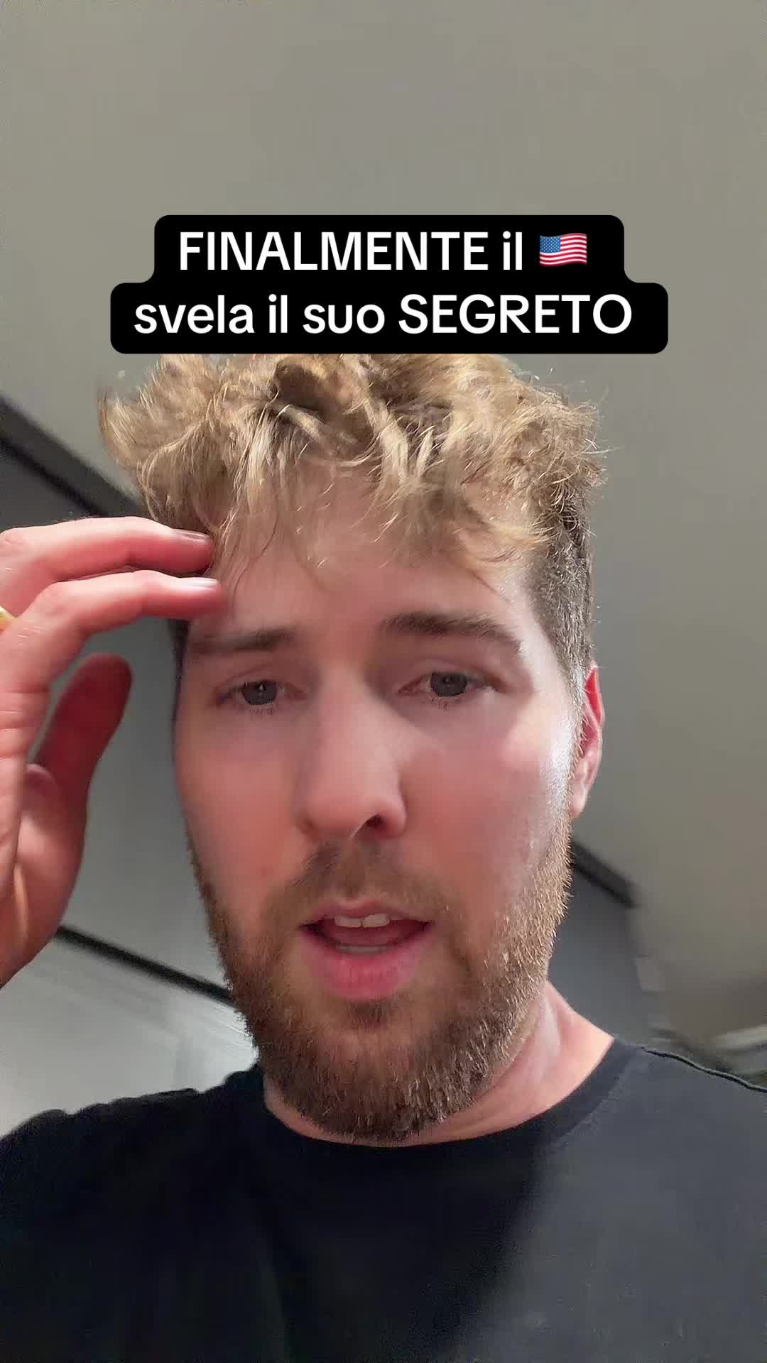 @stevespuntino