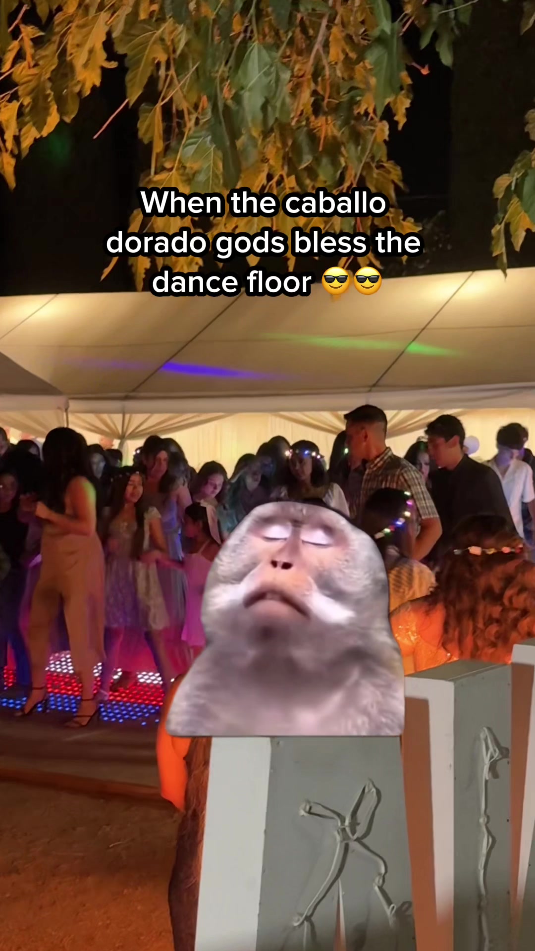 @djlive408