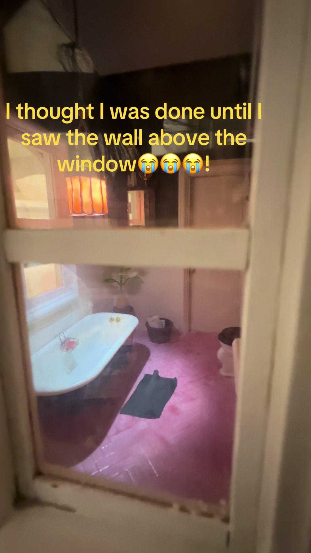 @MiniWorld