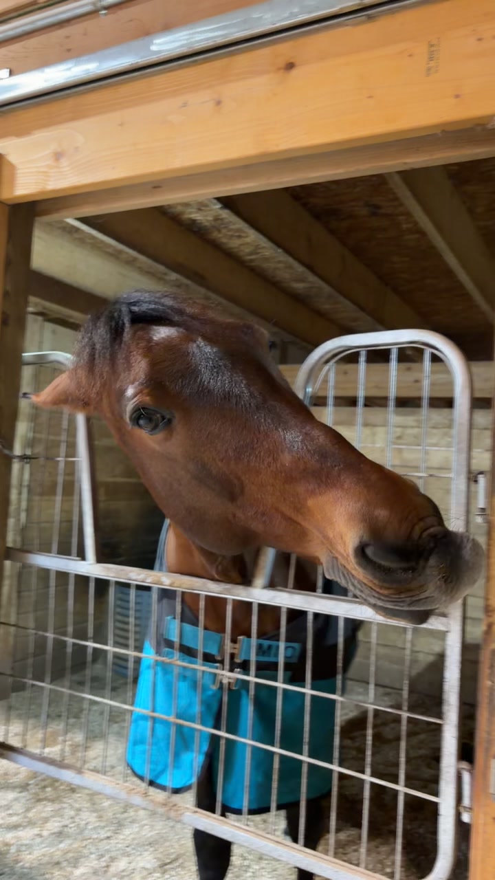 @🌻Kaitlyn C. Dudycz🐴