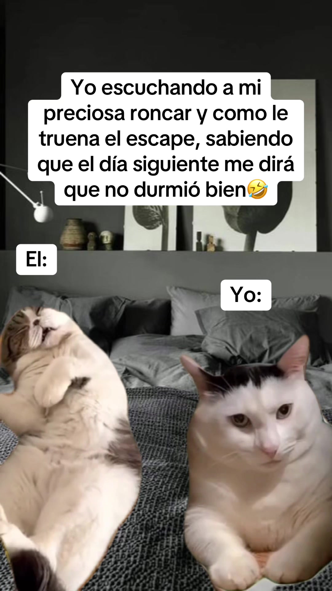 @Flakitta&Luis🫶🏻