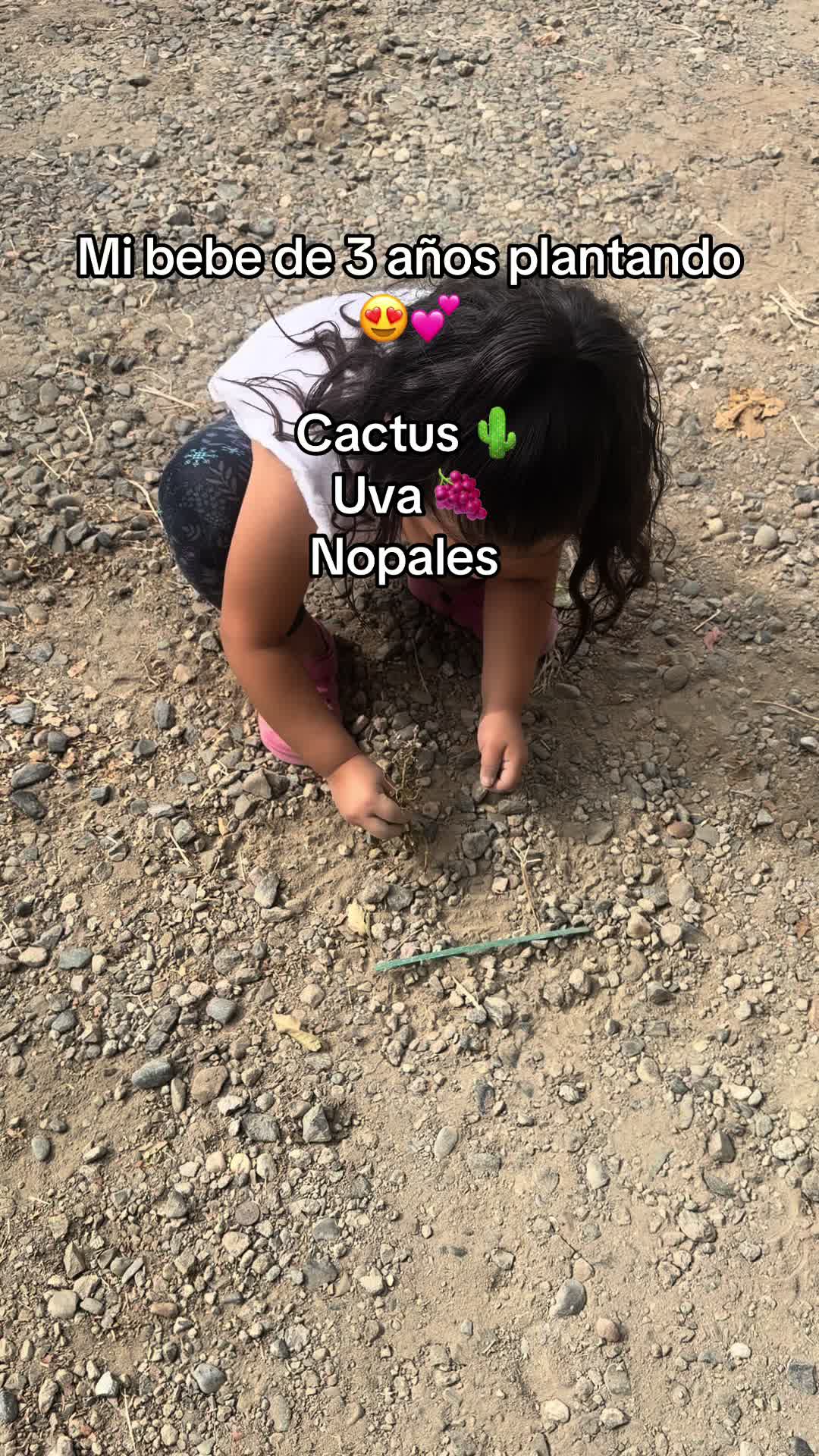 @rosyruizhernandez