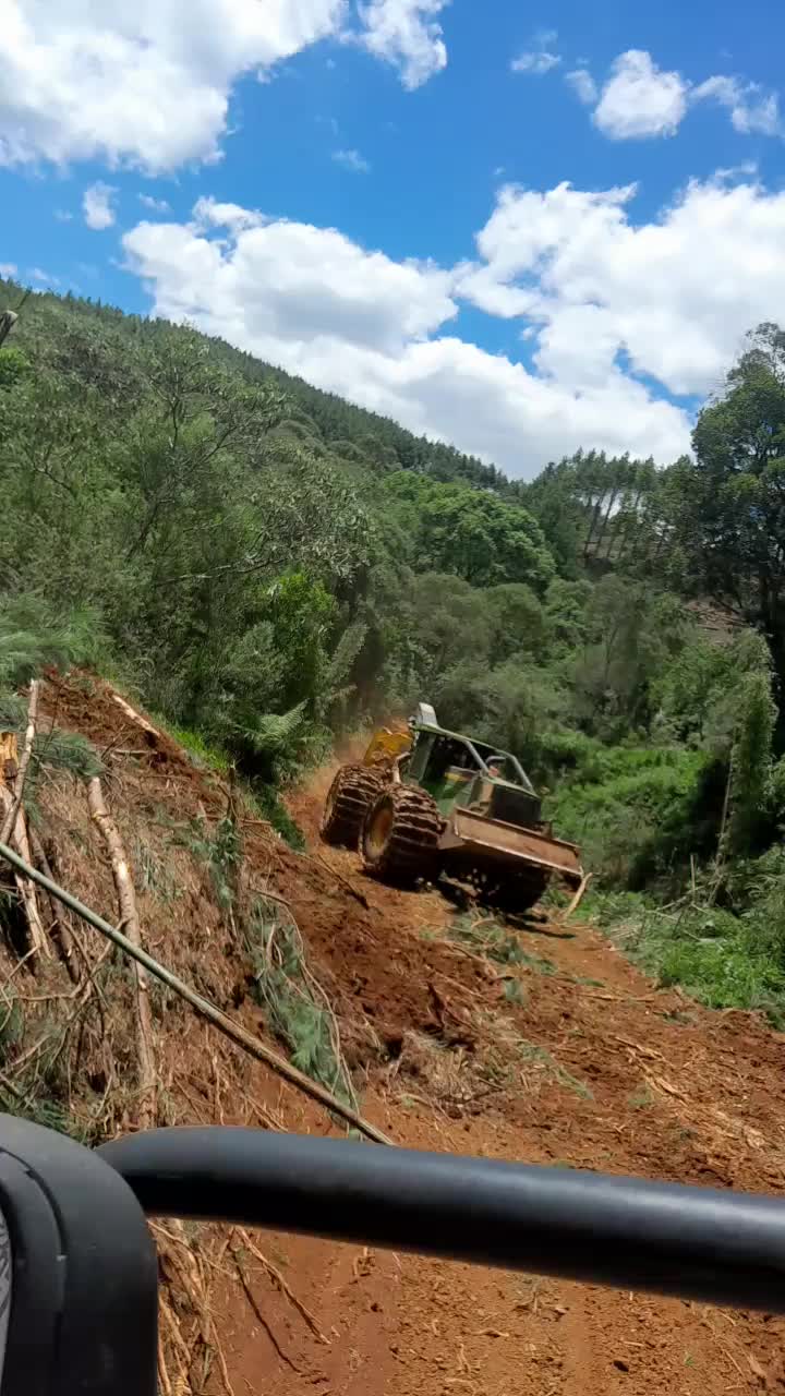 @diegoamentt