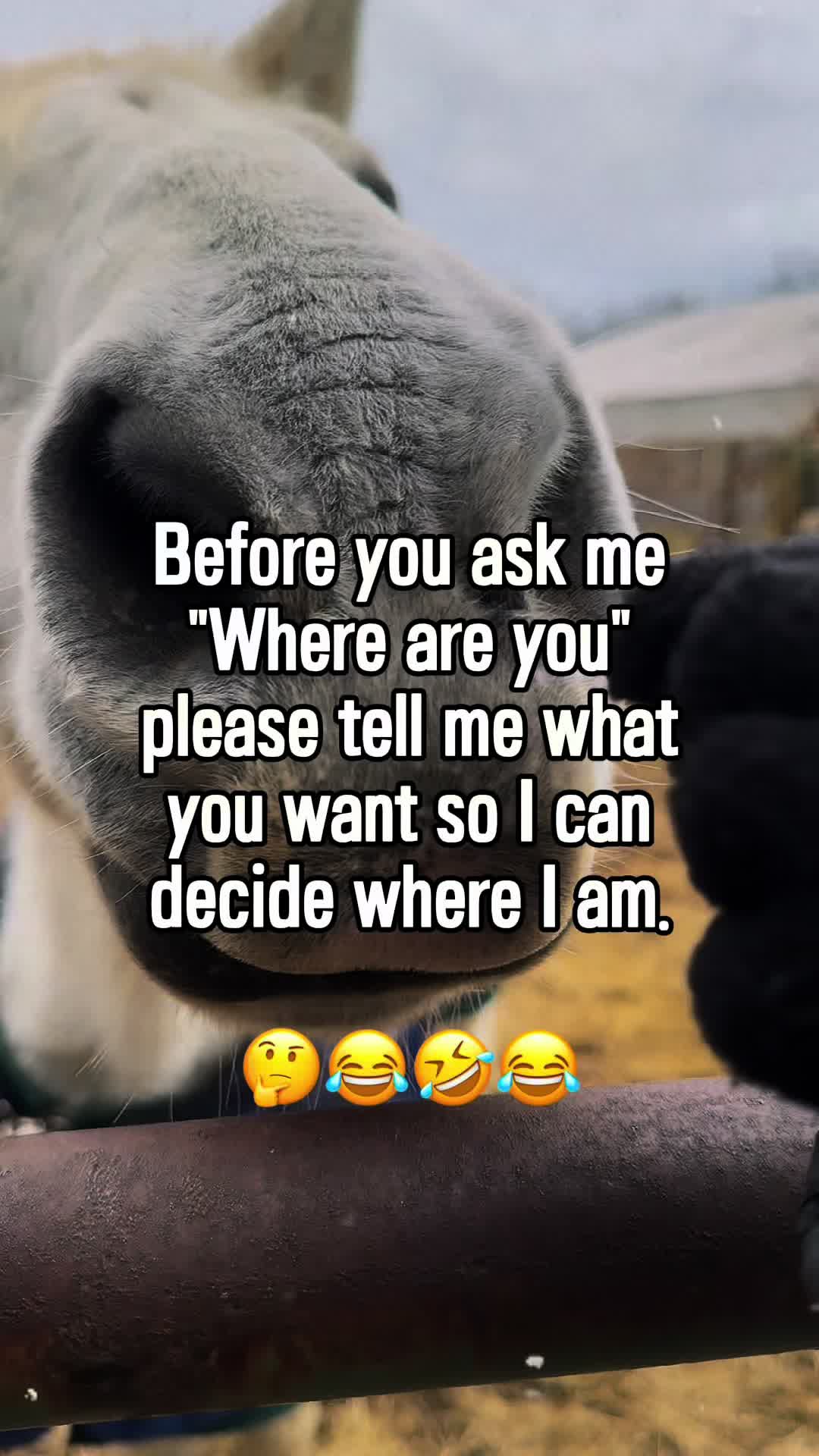 @Sharae ♾️