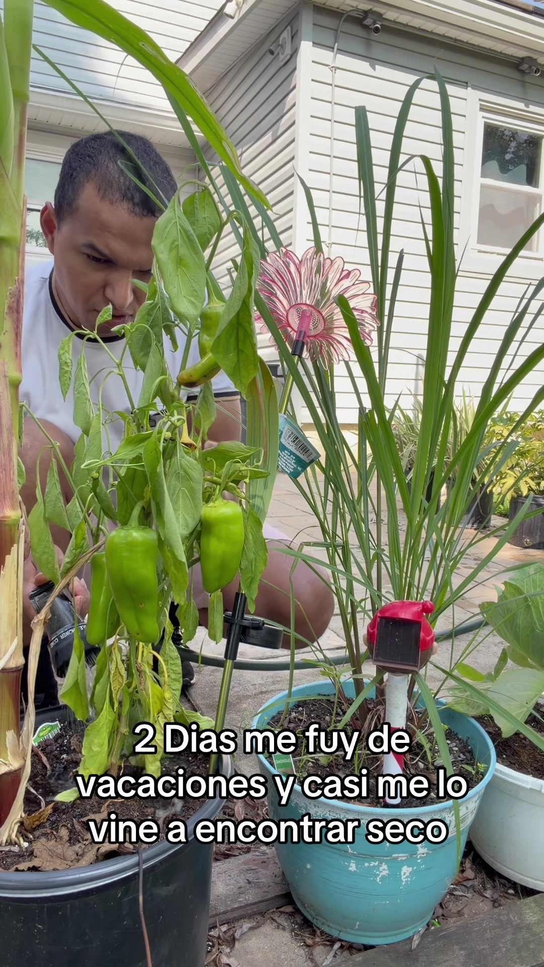 @Ronyp88