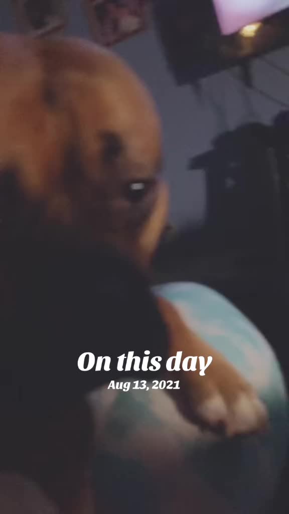 @k.enshuu