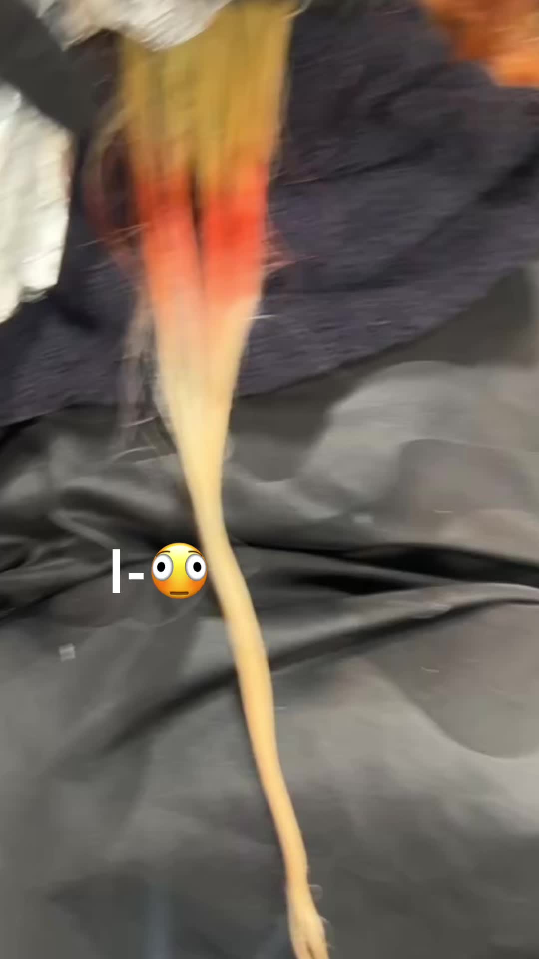 @lalaasbeauty