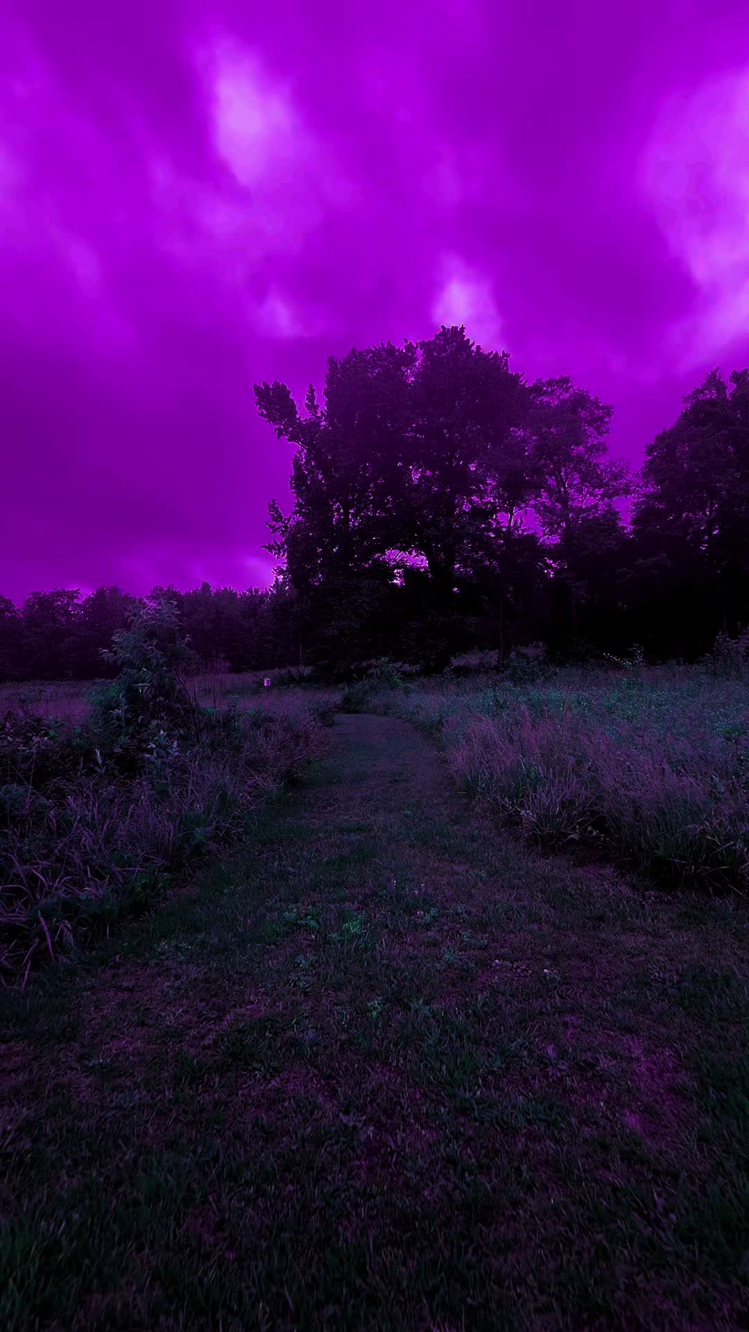 @DarkSpaces