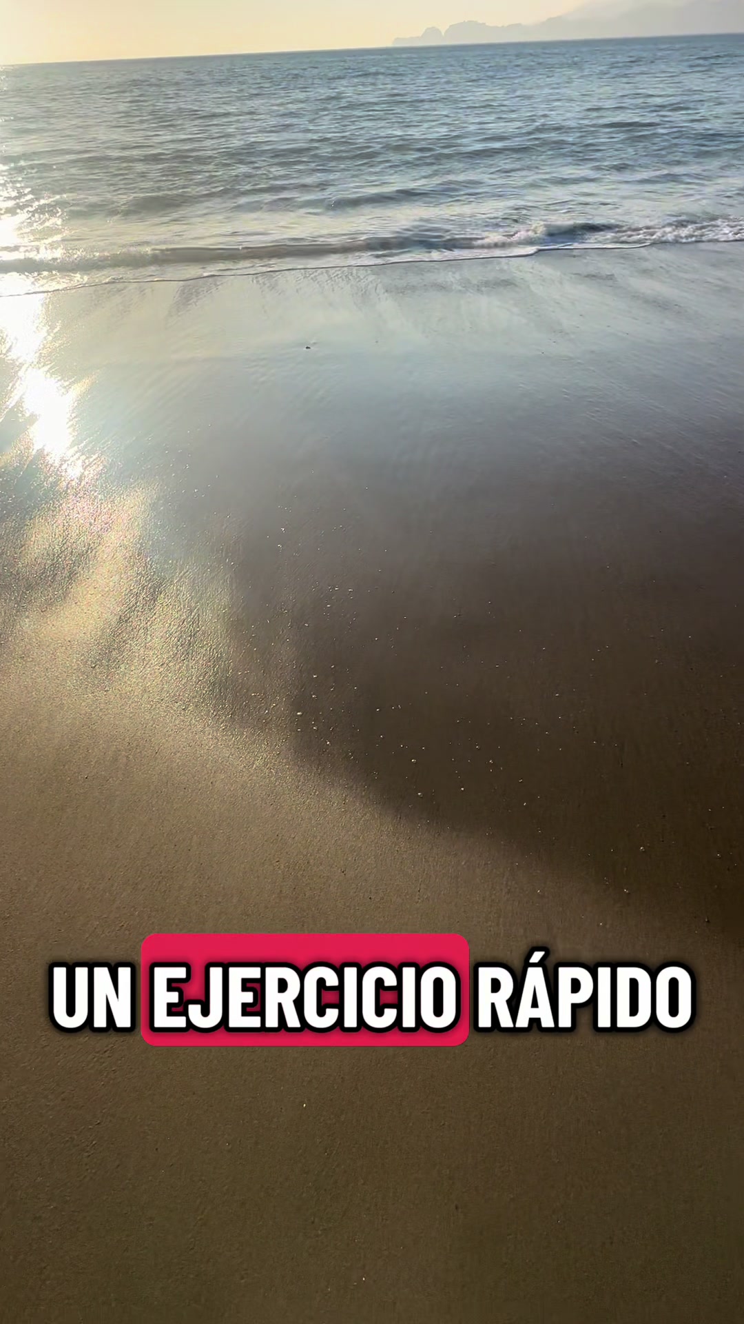 @stephanigaleazzi