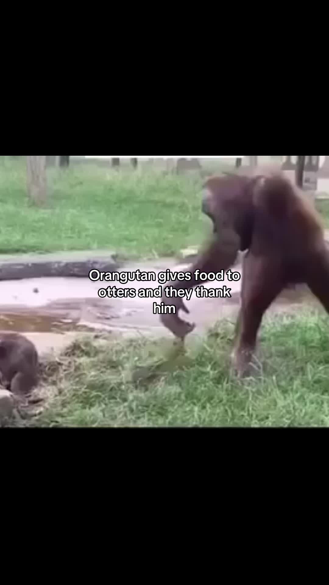 @ⓑεℕ𝓷𝐲(ง •̀_•́)ง