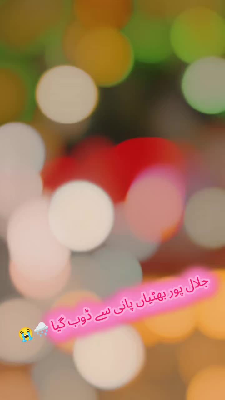 @qasimali8776