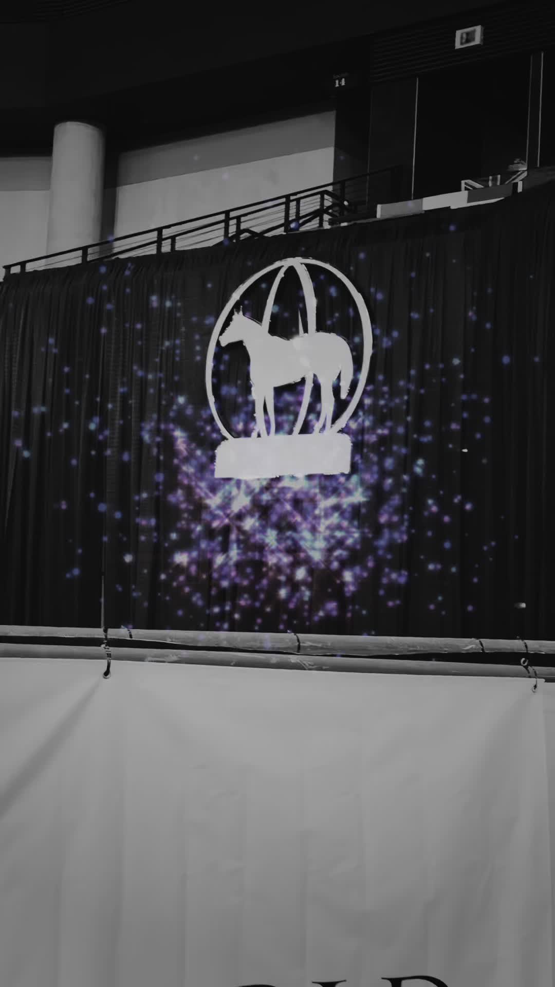 @JD Show Horses